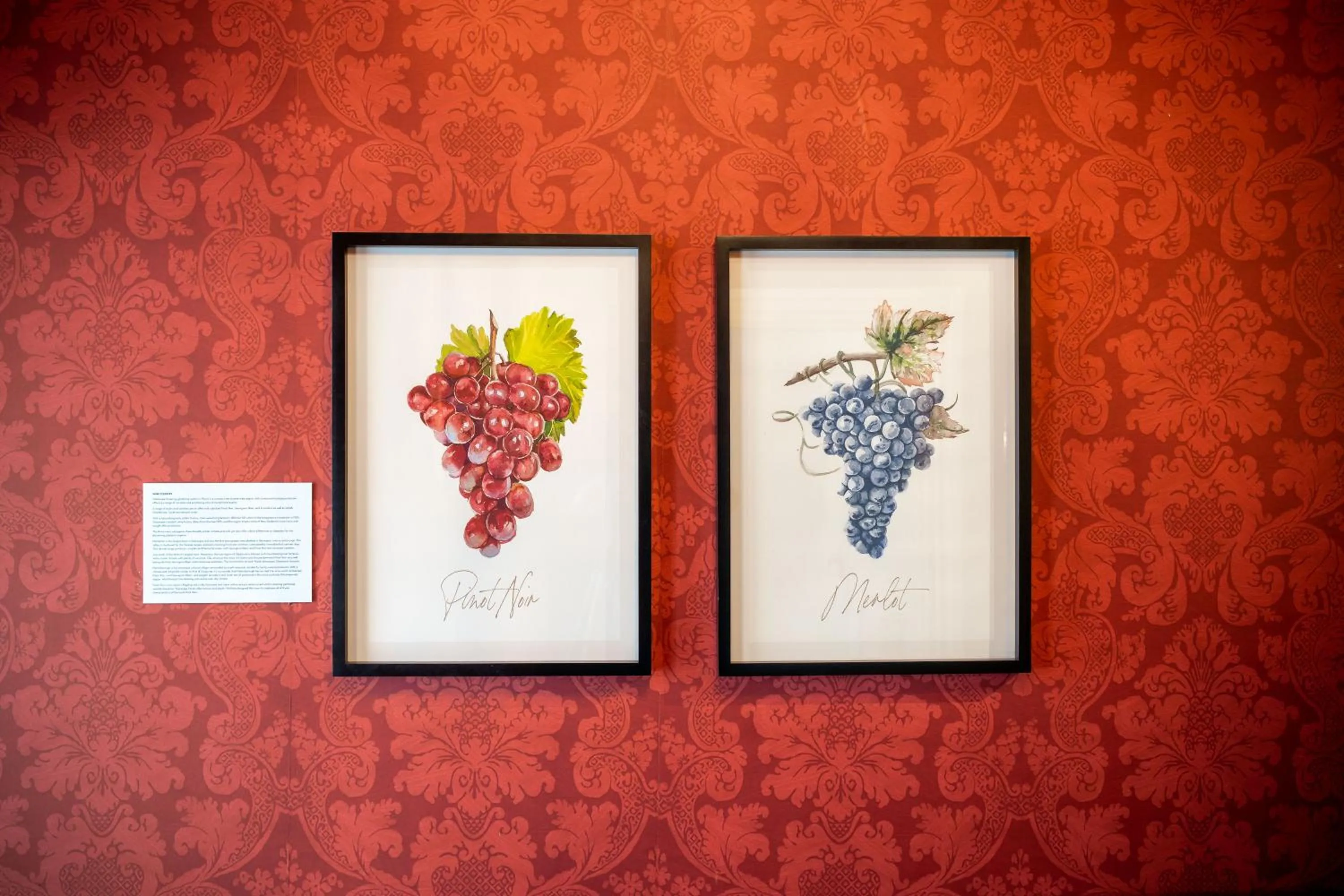 The White Swan Hotel