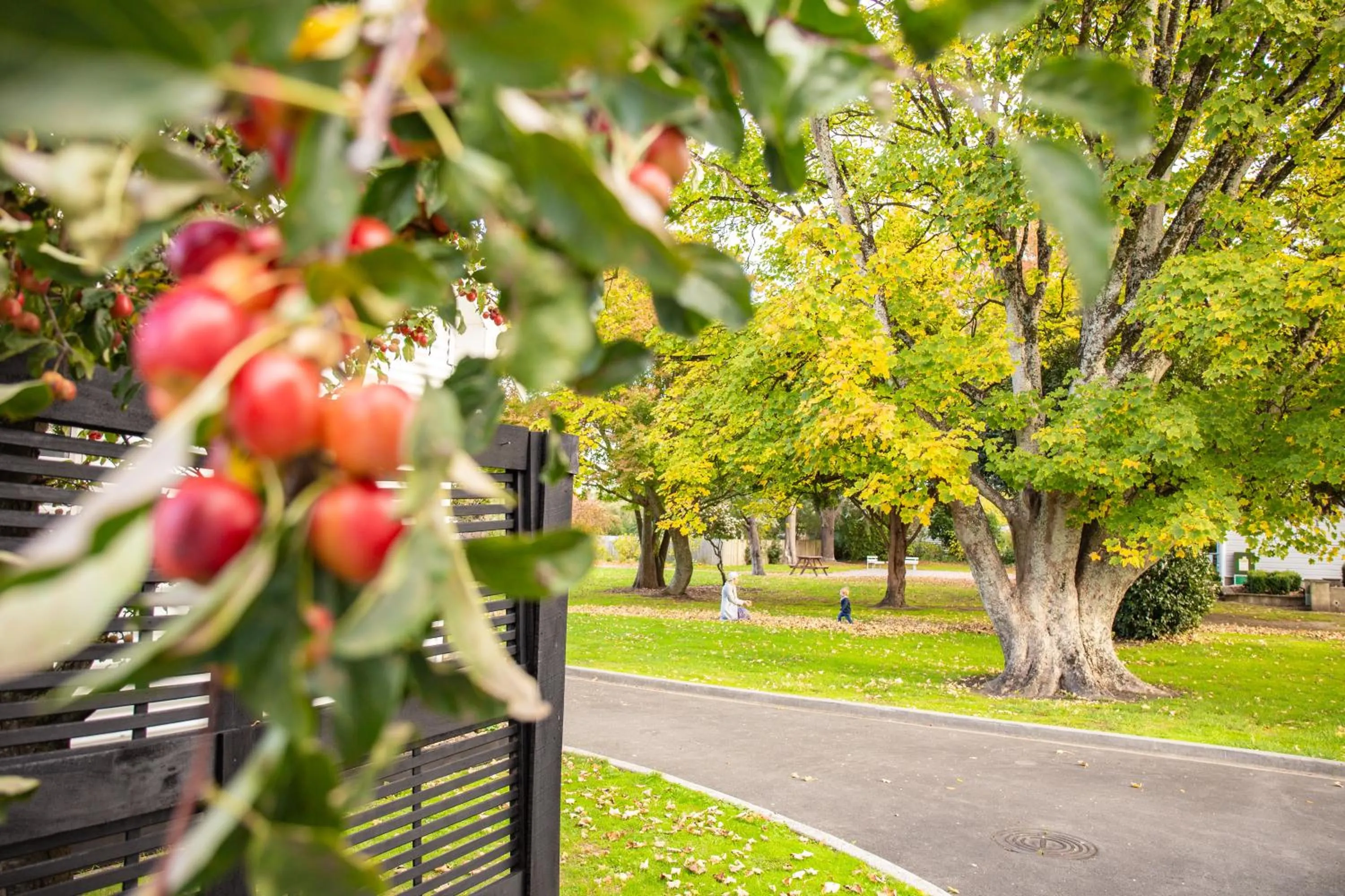 The White Swan Hotel