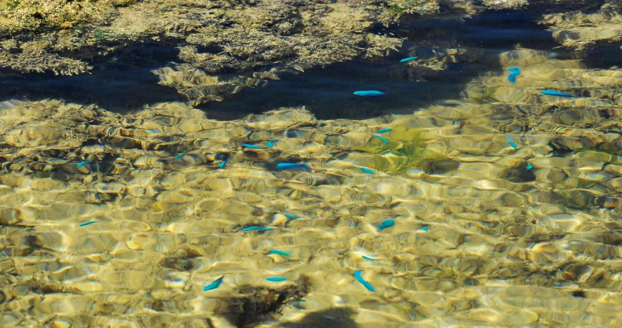 Day in The Uza Terrace Beach Club Villas