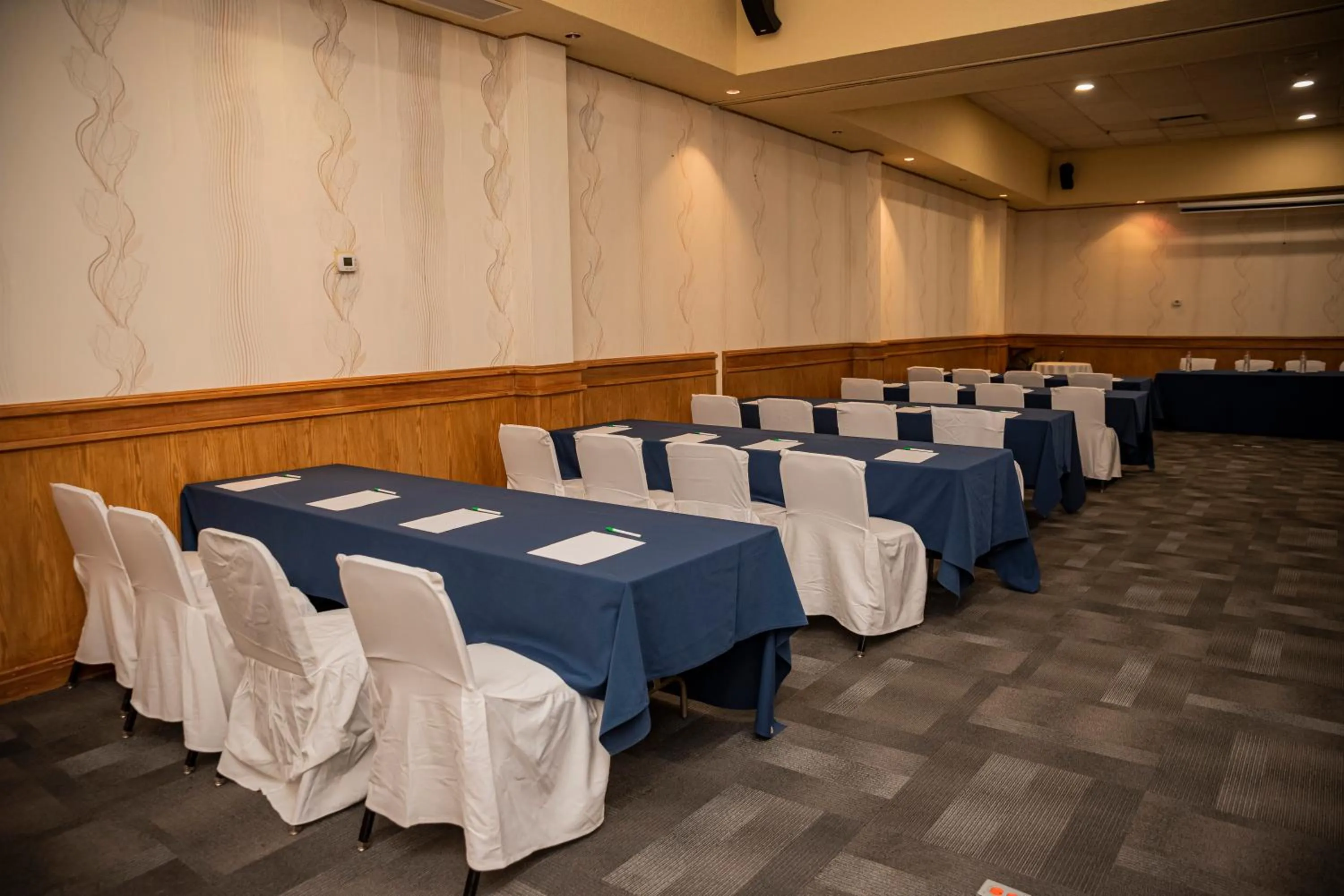 Meeting/conference room in Holiday Inn La Piedad by IHG