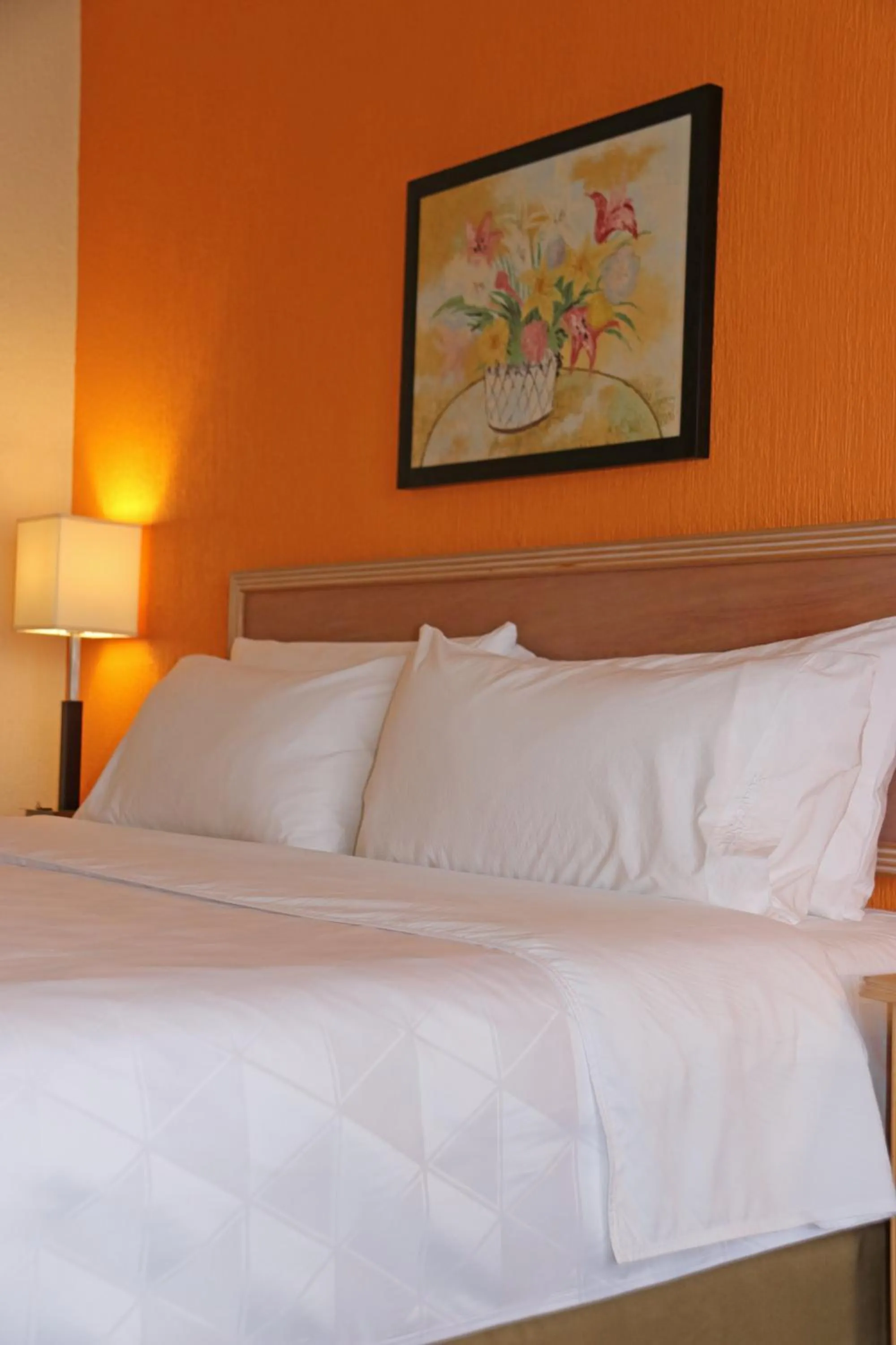 Photo of the whole room, Bed in Holiday Inn La Piedad by IHG