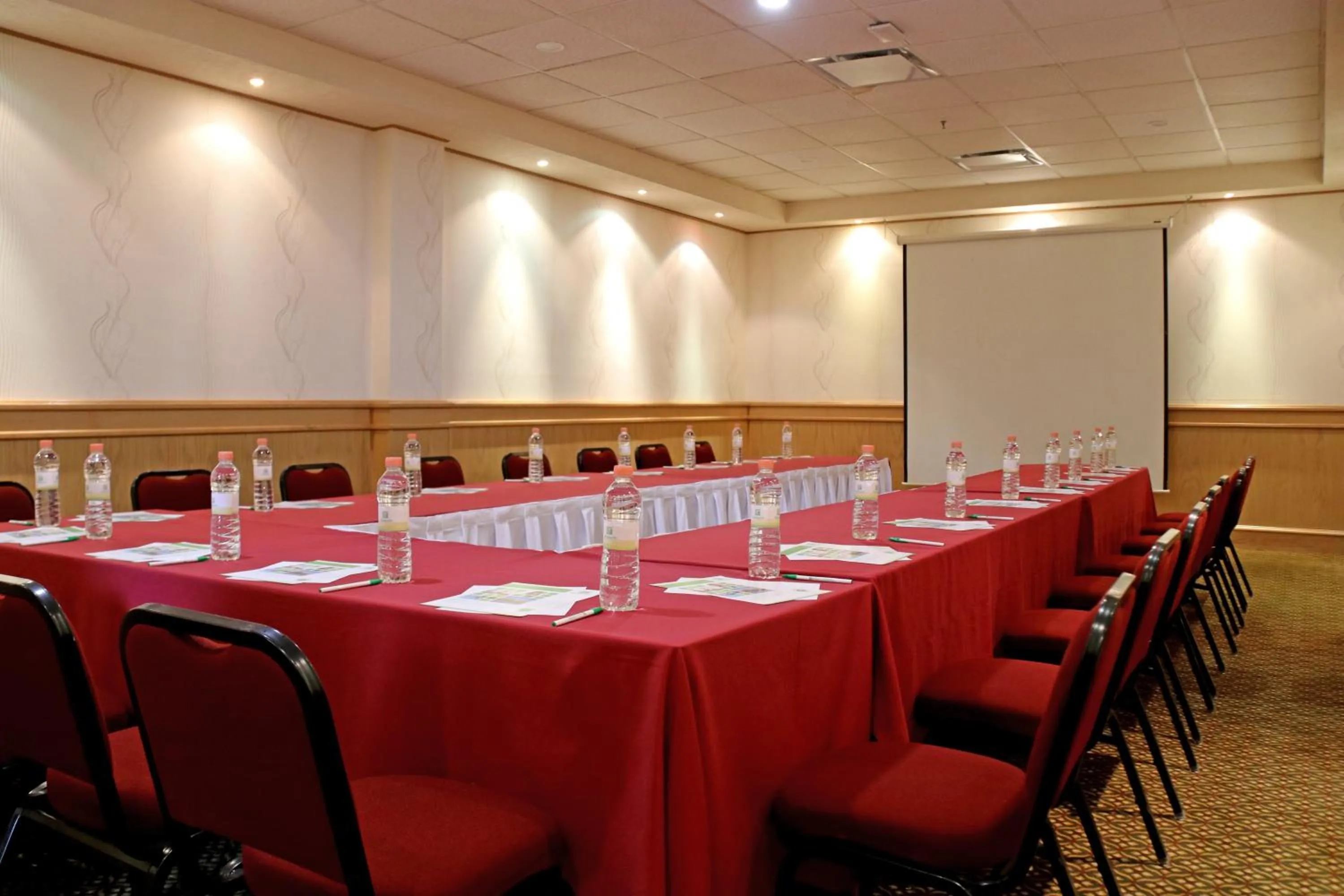 Meeting/conference room in Holiday Inn La Piedad by IHG