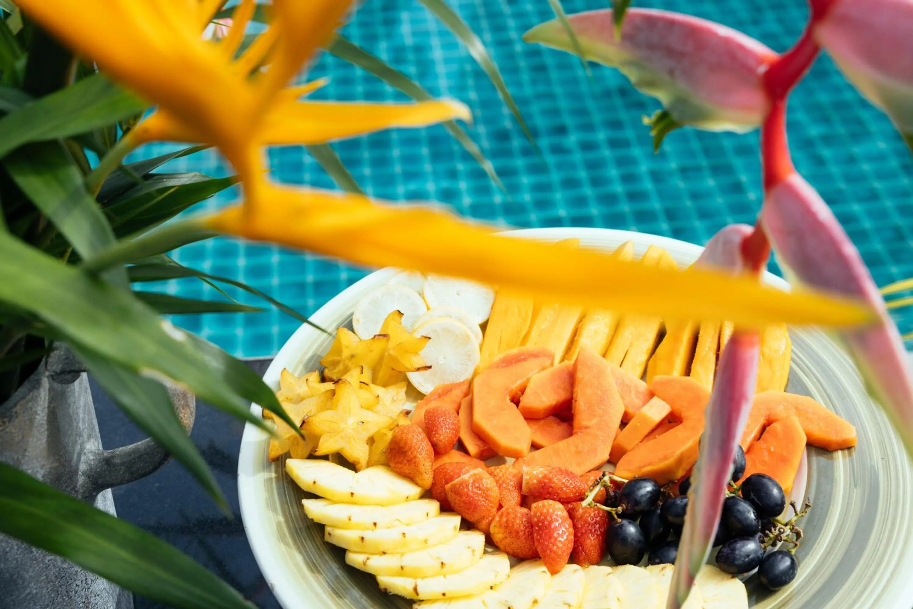 Owl and the Pussycat Hotel & Restaurant