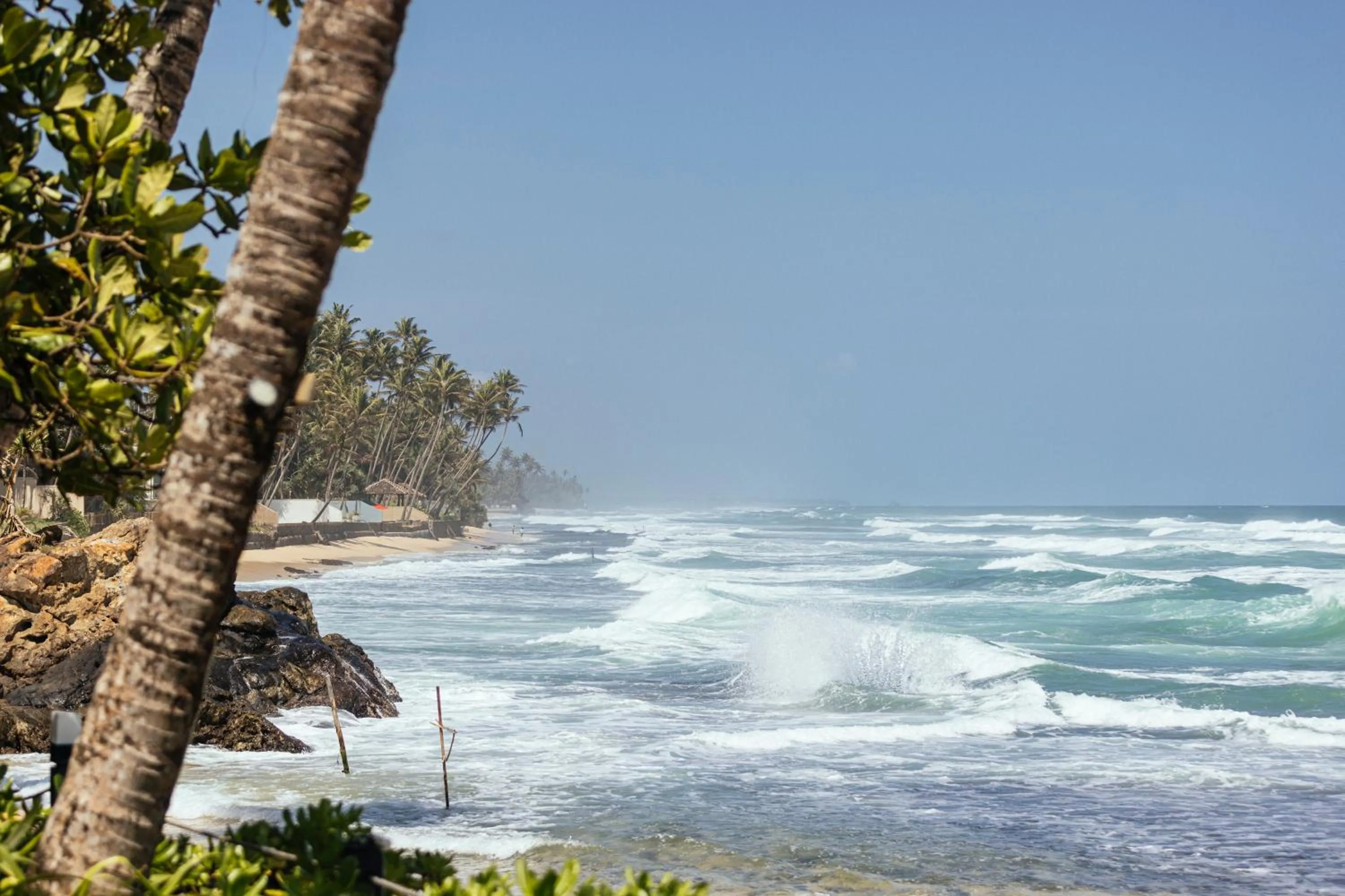 Owl and the Pussycat Hotel & Restaurant