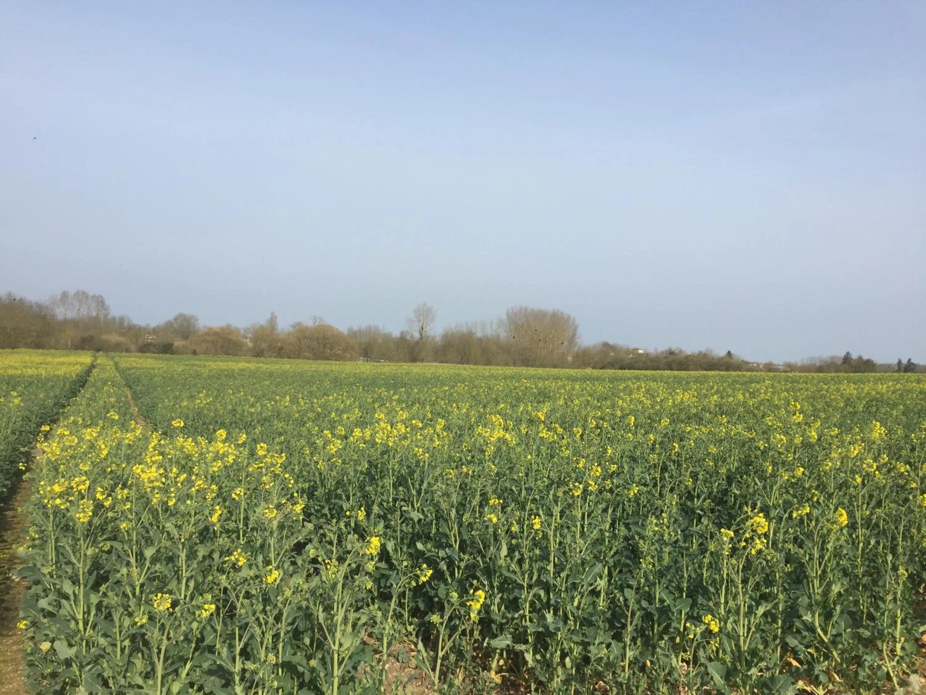 Property building in Le Petit Bijou