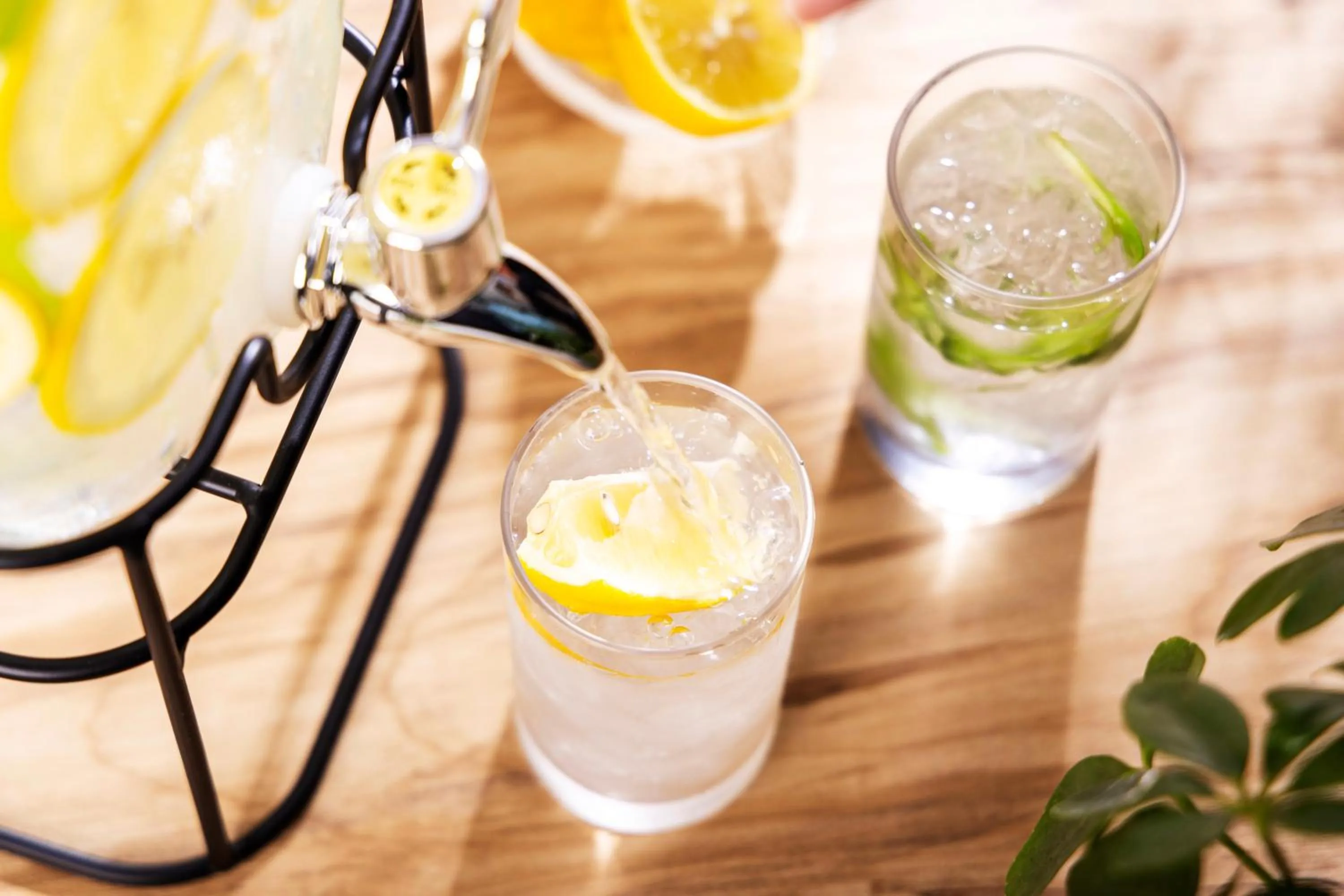 Restaurant/places to eat in City Hotel Air Port in Prince