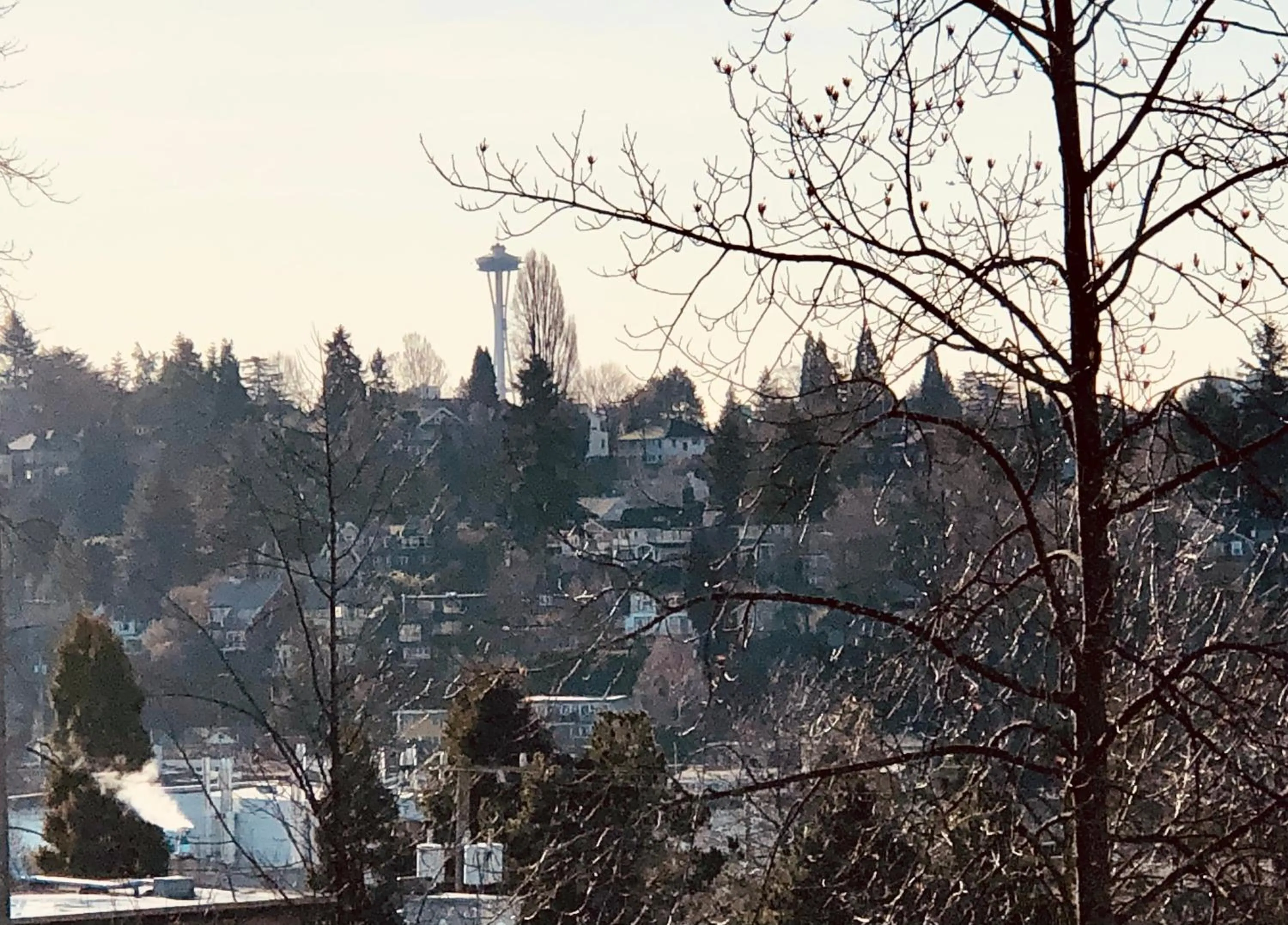 View (from property/room) in College Inn Hotel