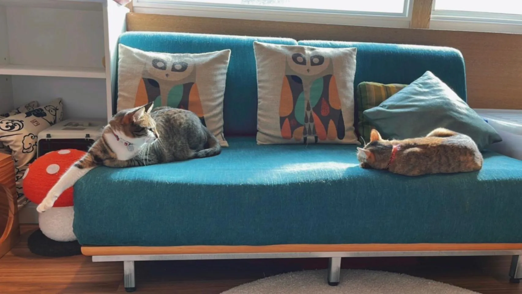 Property building in Chill Roof Hotel