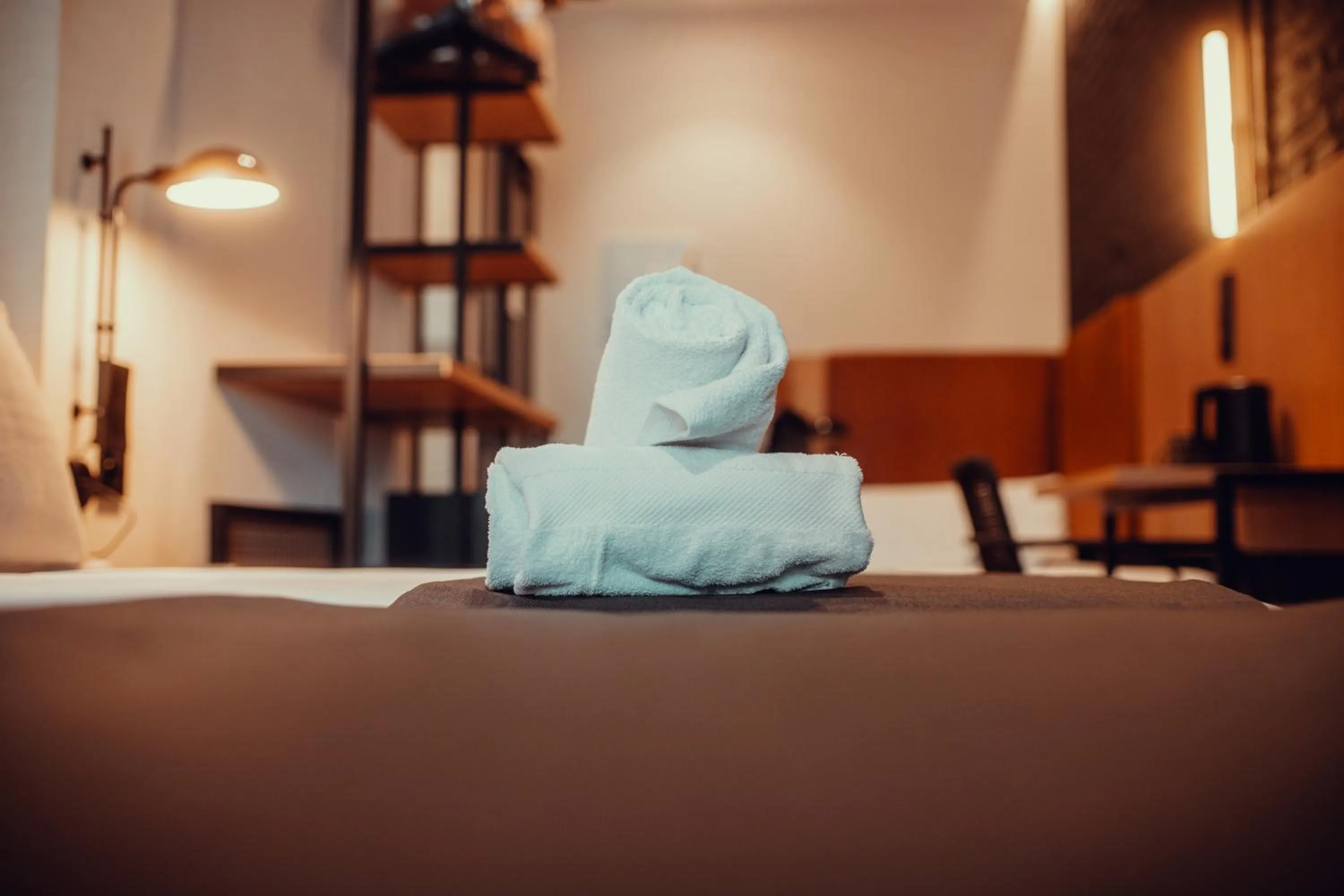 Photo of the whole room in Hotel Transit