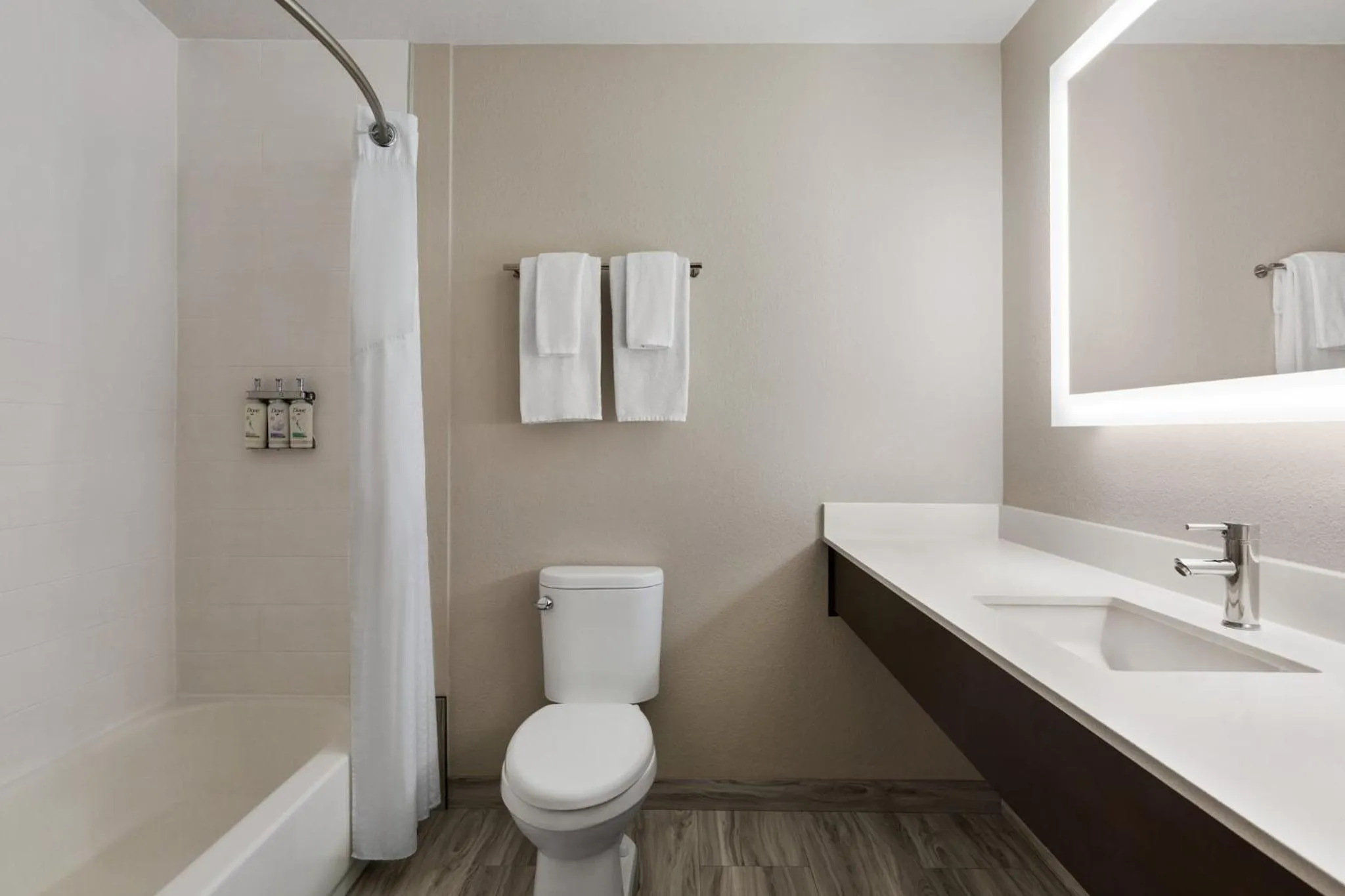 Bathroom in Holiday Inn Express Hotel & Suites Live Oak by IHG