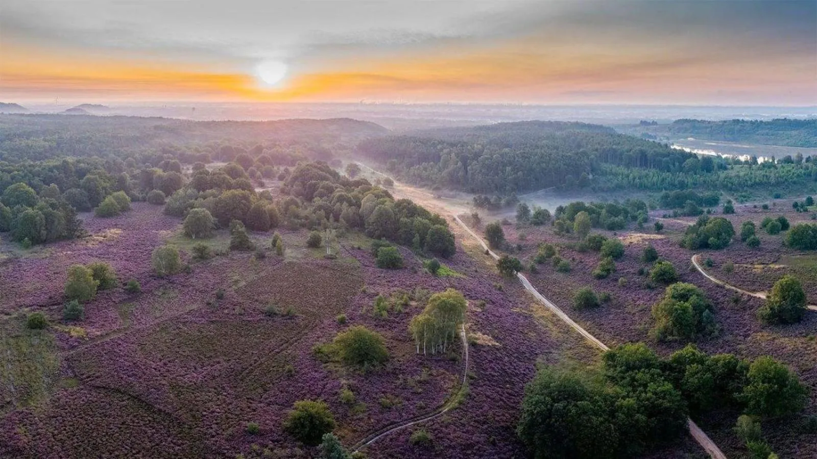 Nearby landmark in Porta Cité