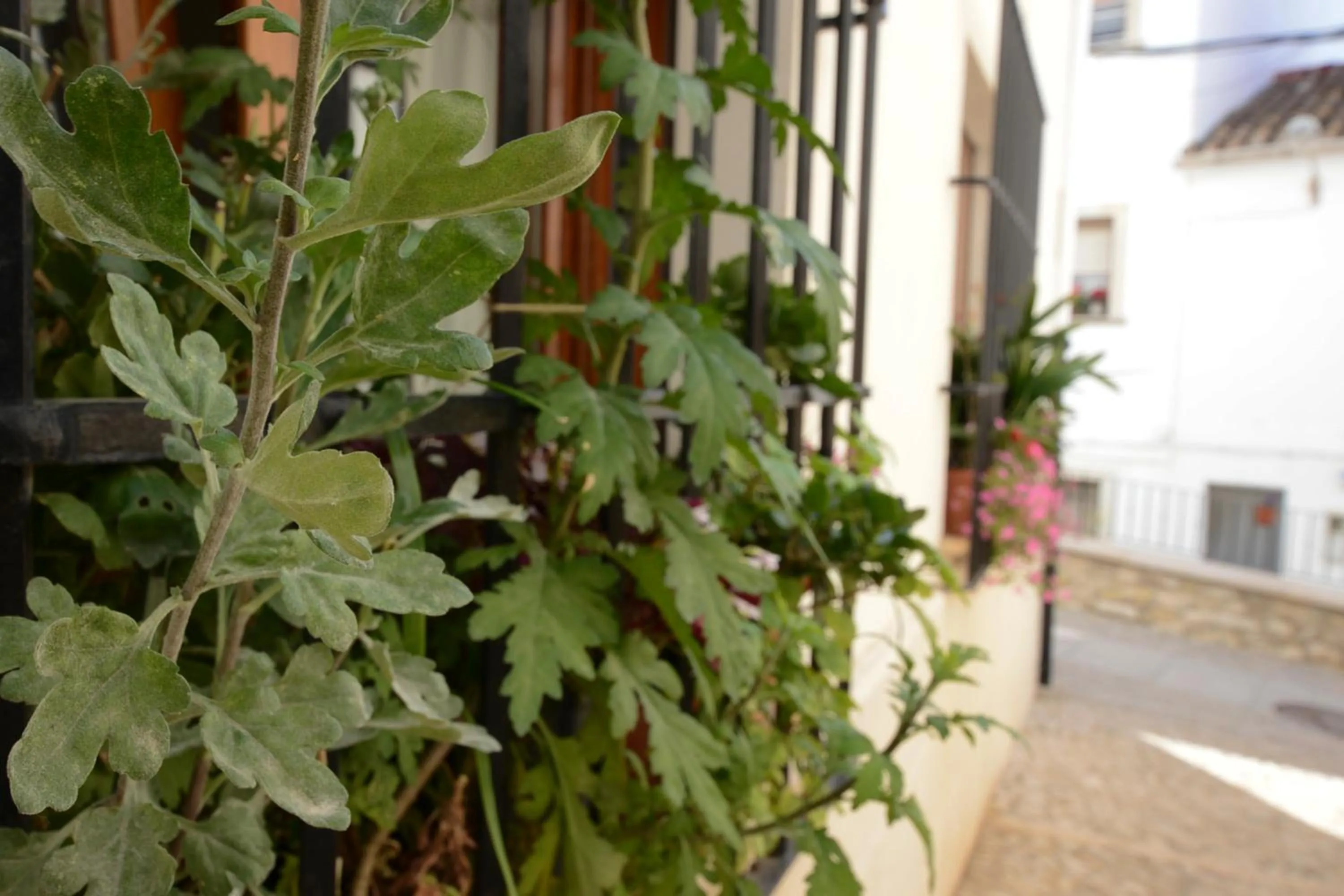 Nearby landmark in La Fonda Benissa, Grupo Terra de Mar, alojamientos con encanto