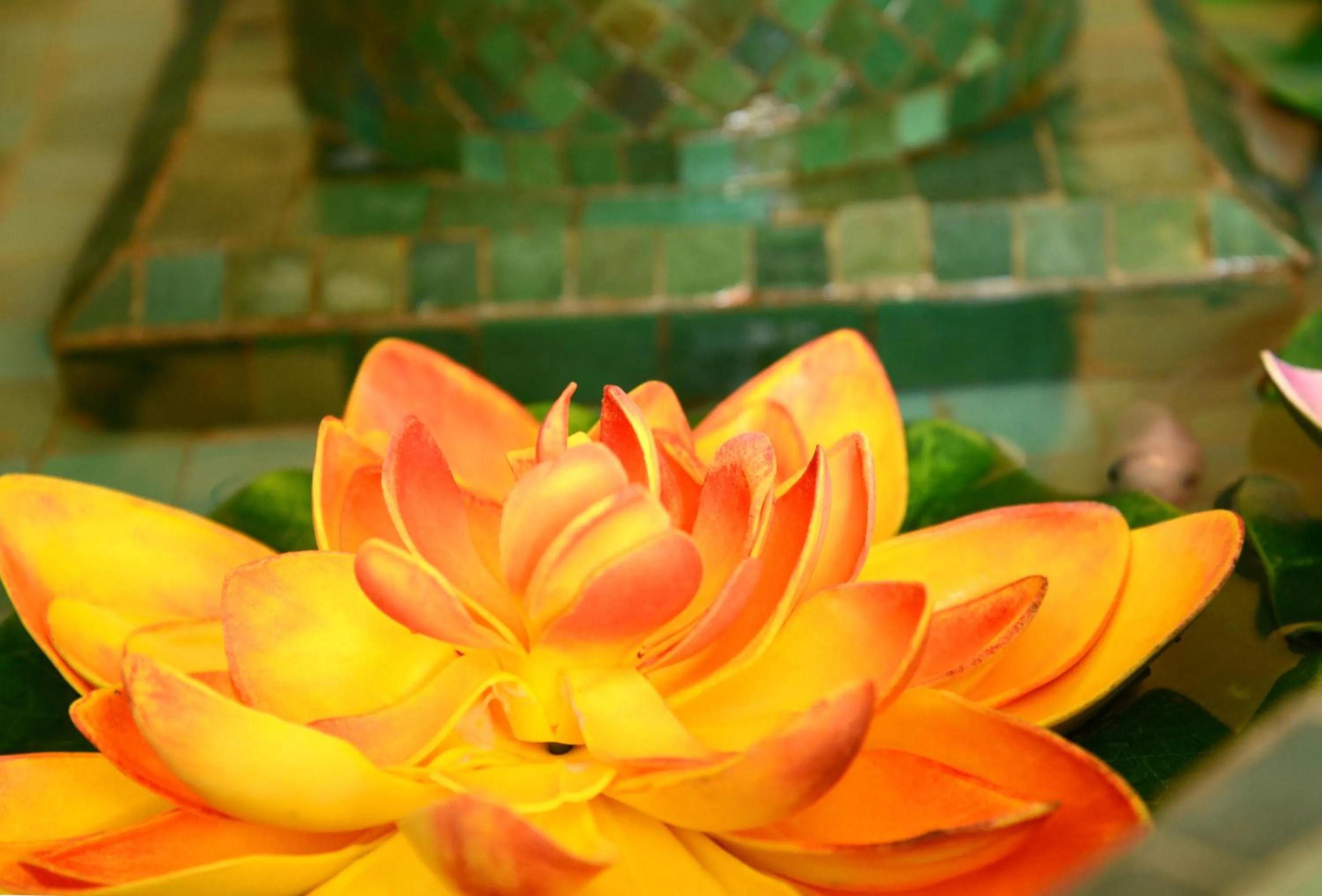 Decorative detail in La Fonda Benissa, Grupo Terra de Mar, alojamientos con encanto