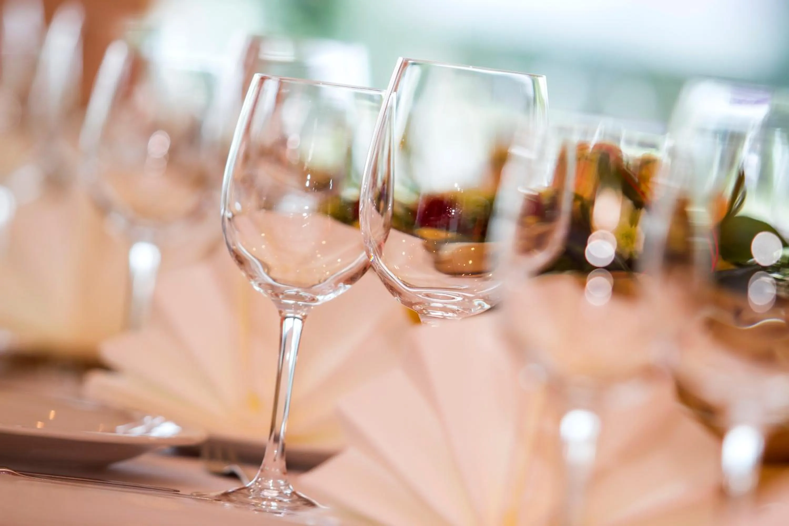 Dining area in Hotel Festival