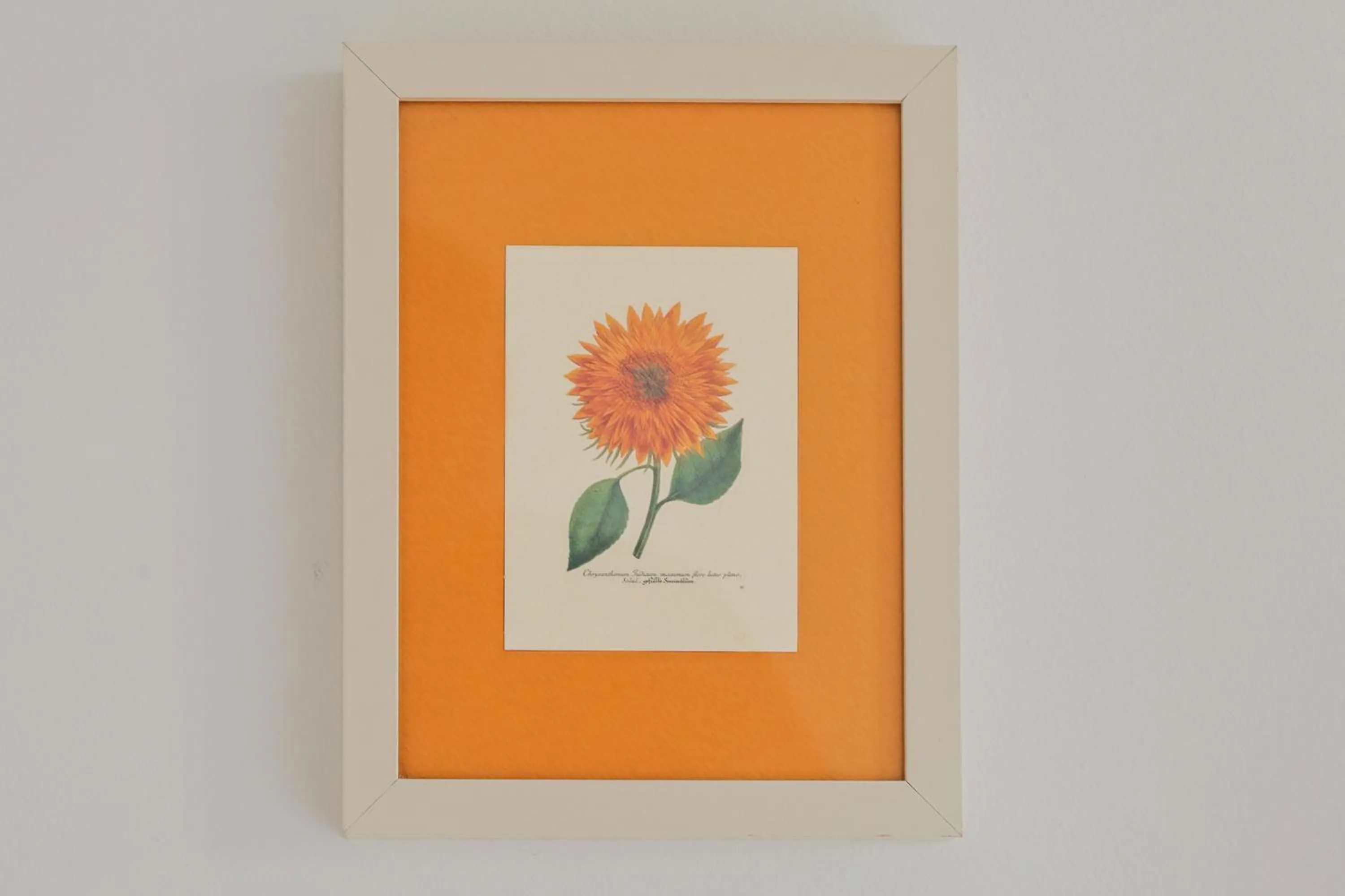 Bedroom in Villa Nika