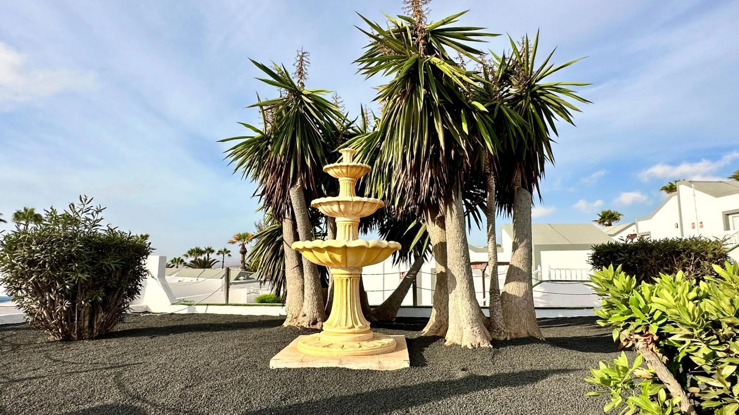 Garden in Caleta Dorada