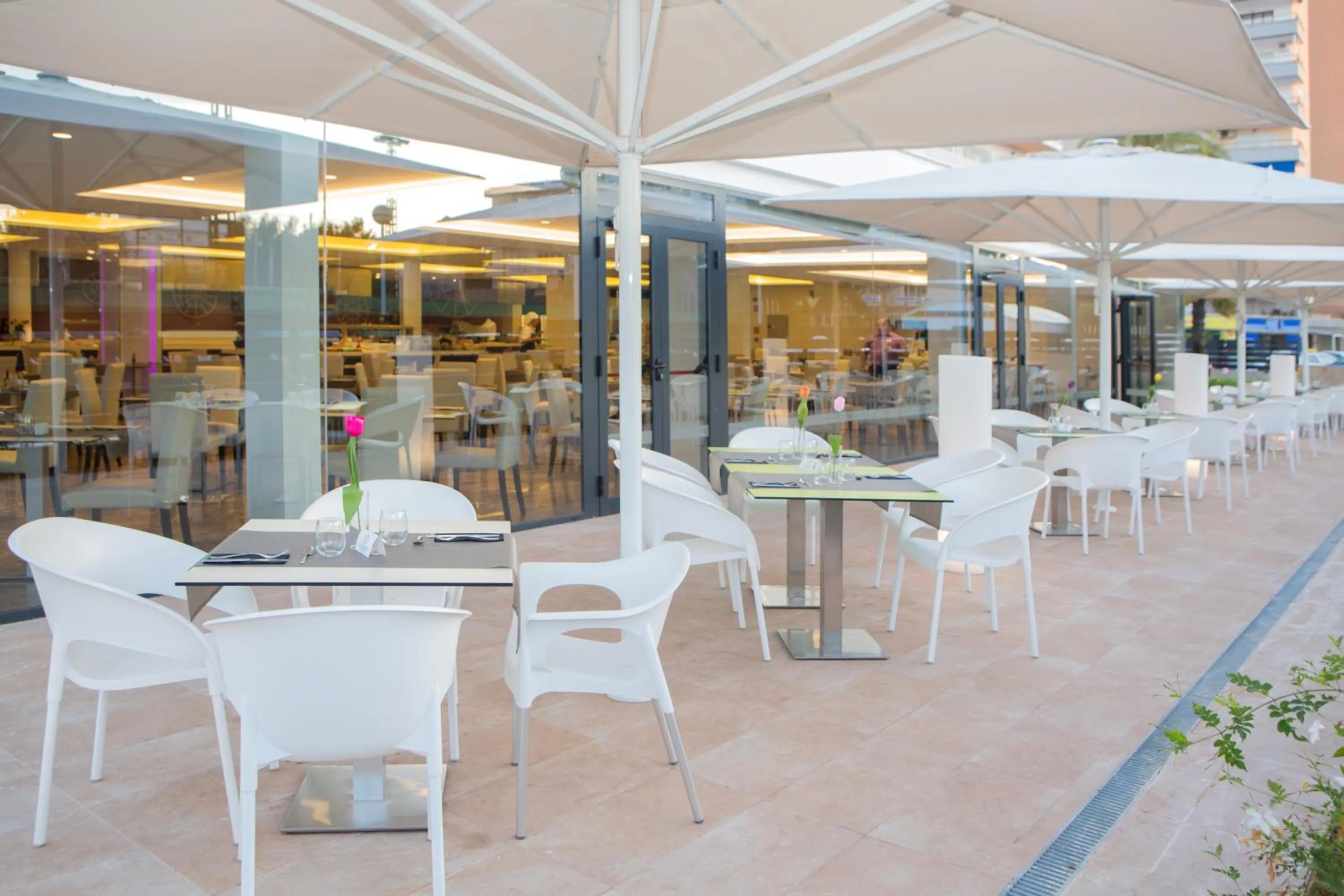 Food and drinks in Hotel Luxor