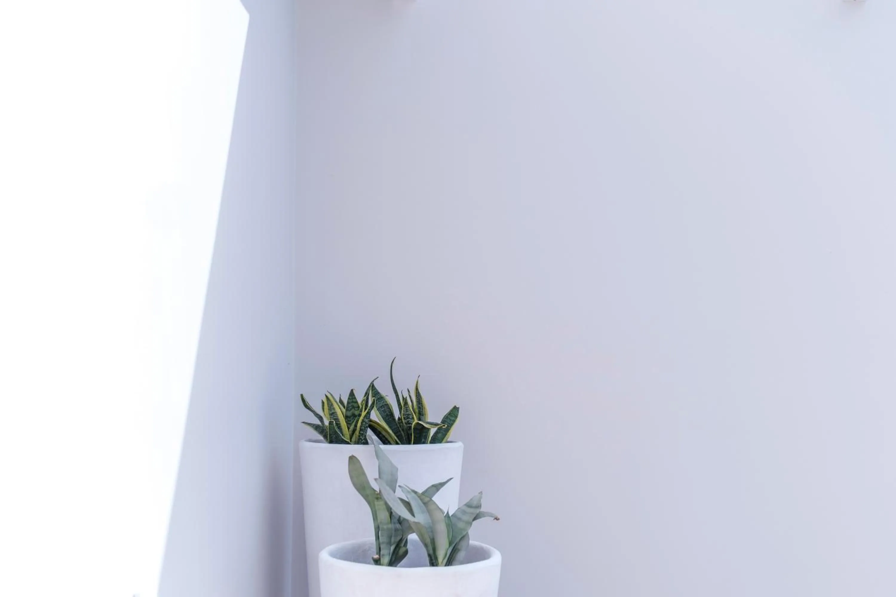 Balcony/Terrace in Nelly's Apartments