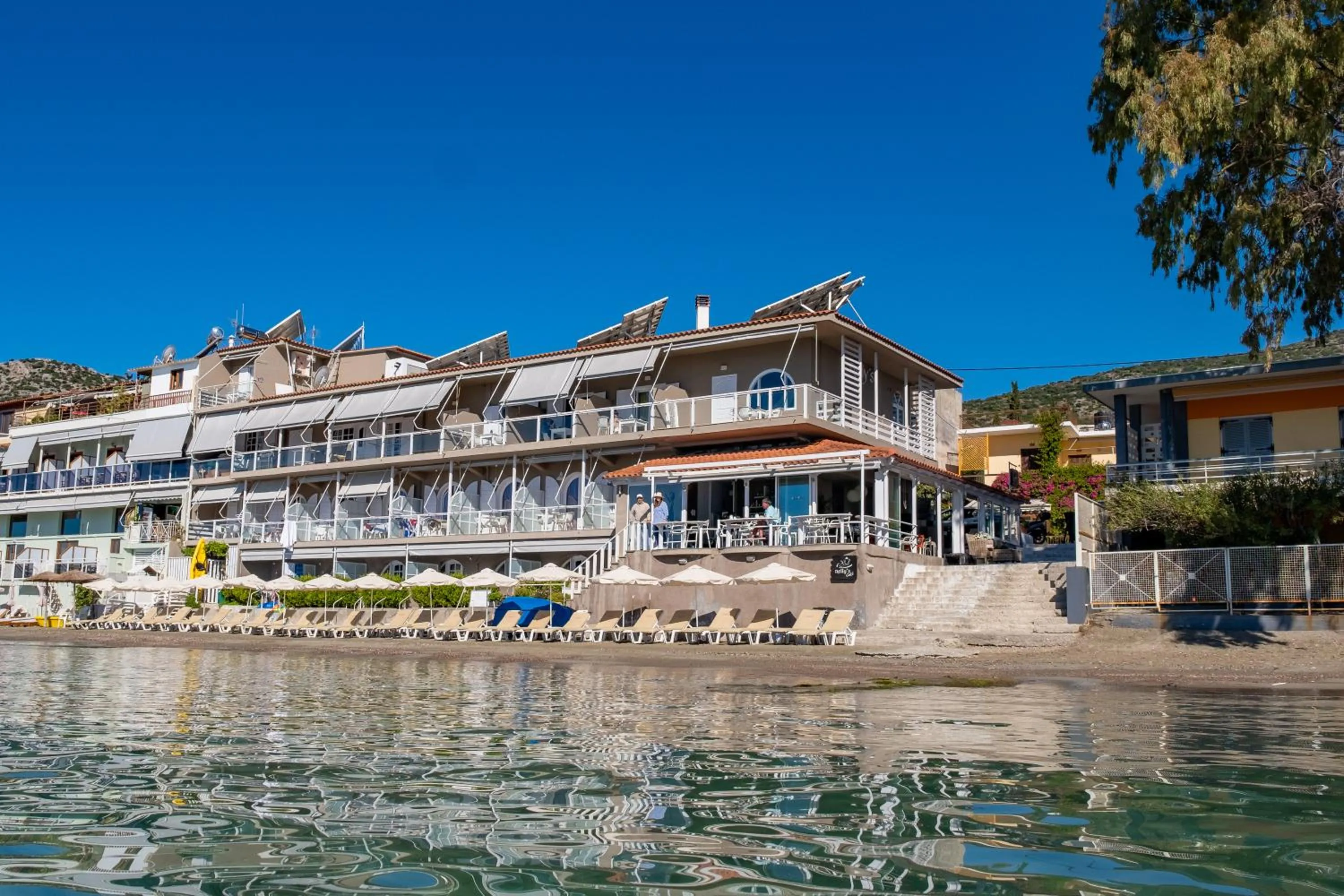 Property building in Nelly's Apartments