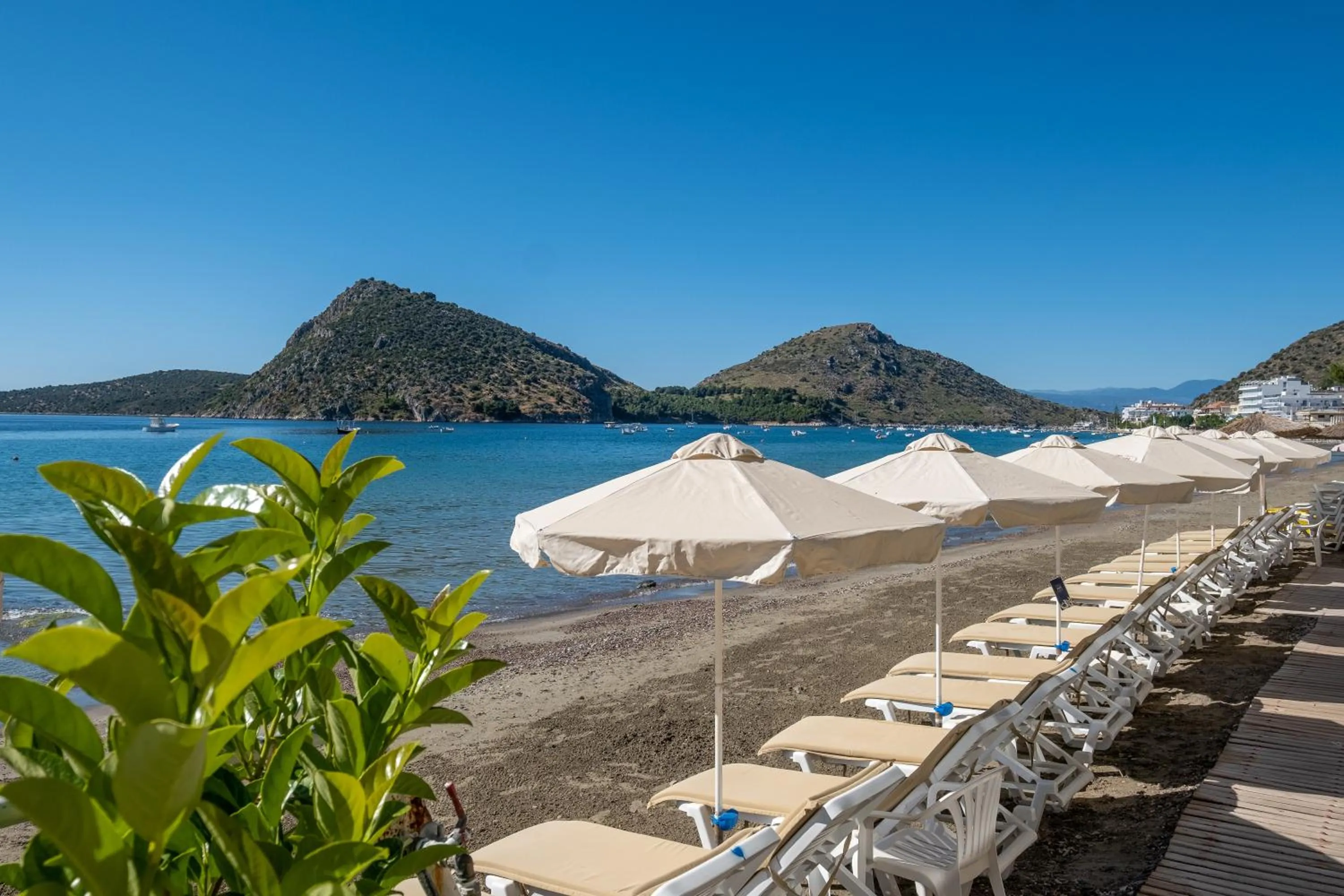 Natural landscape in Nelly's Apartments