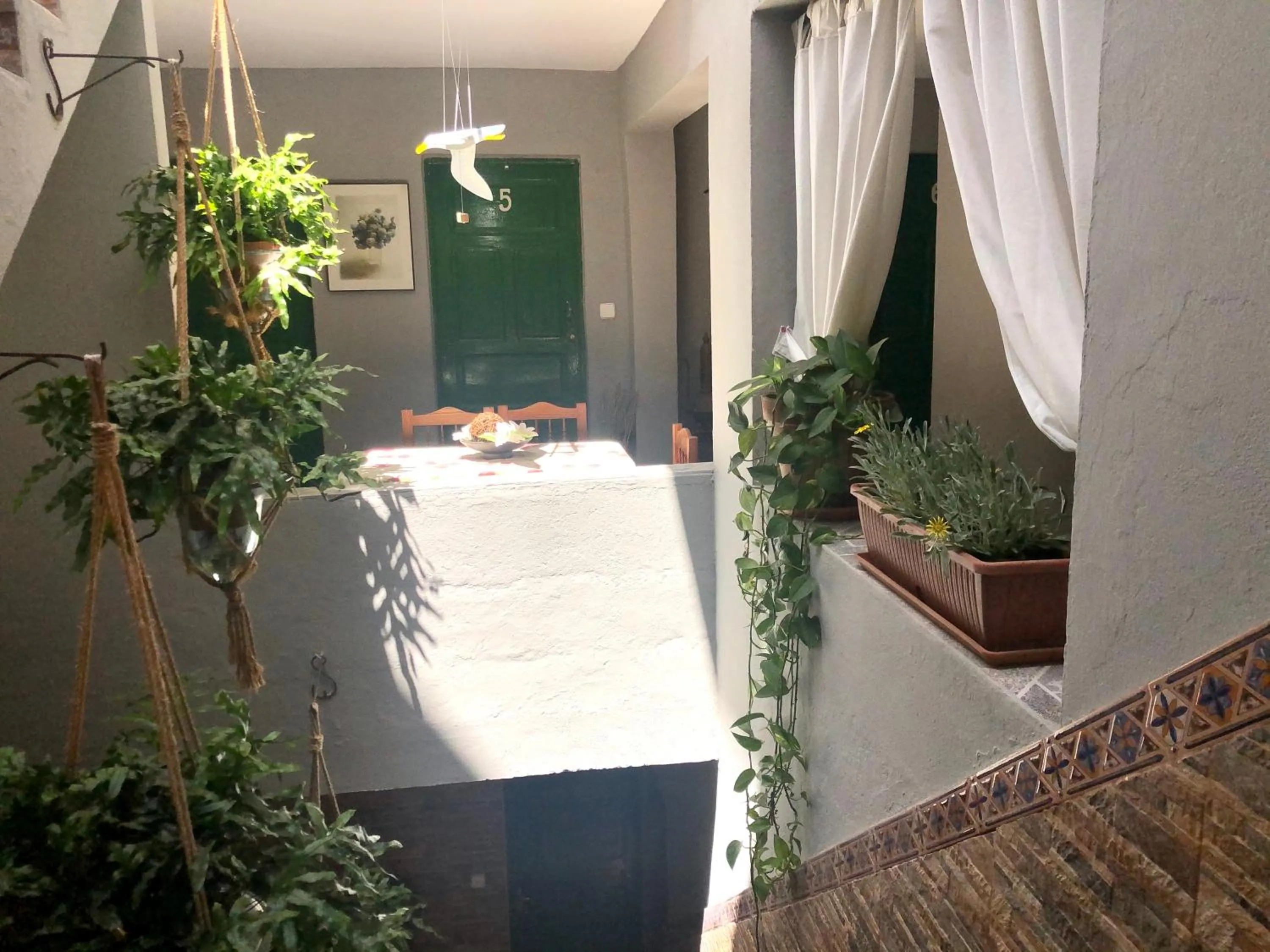 Patio in Pensión Playa