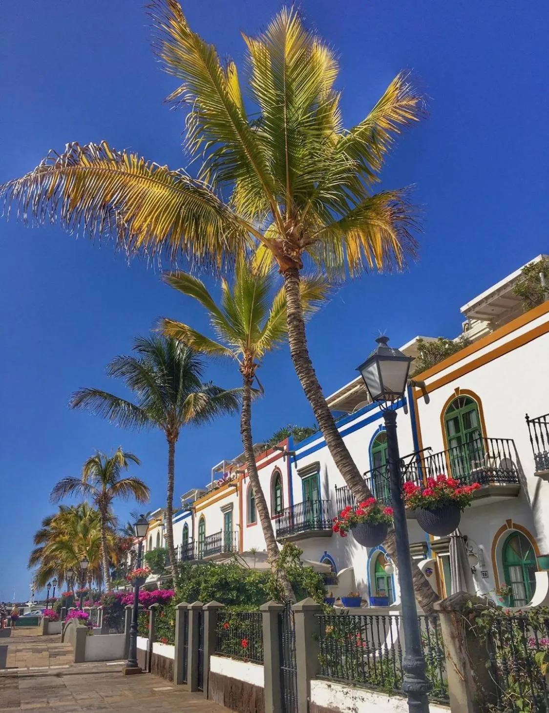 Neighbourhood in Pensión Playa