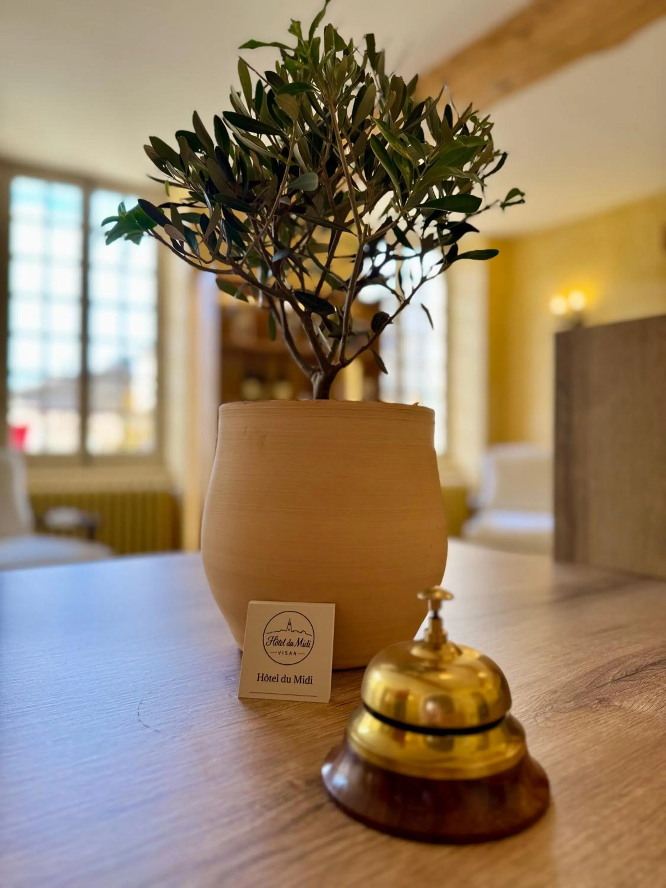 Lobby or reception in Hotel Du Midi