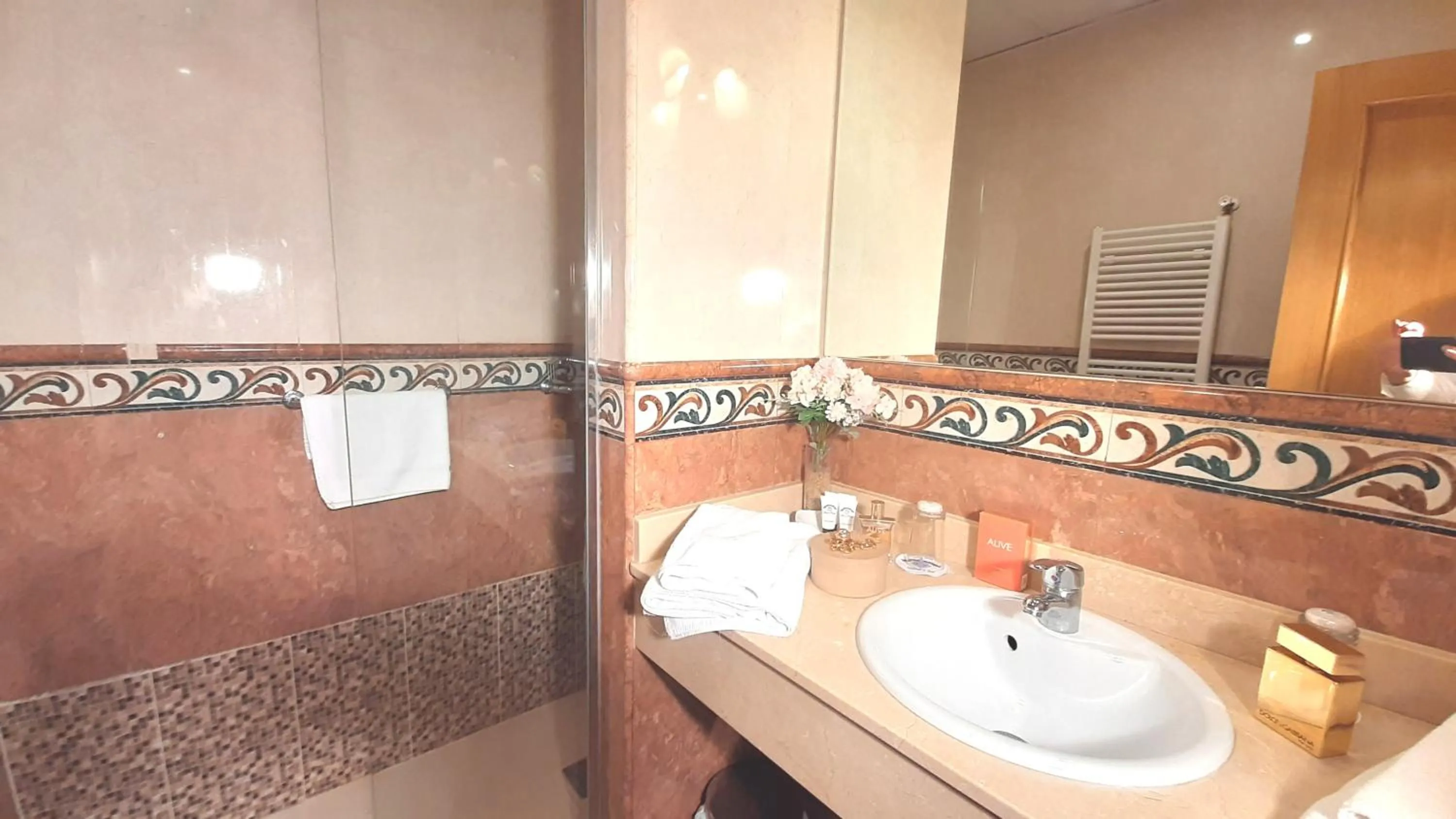 Bathroom in Hotel Nueva Plaza
