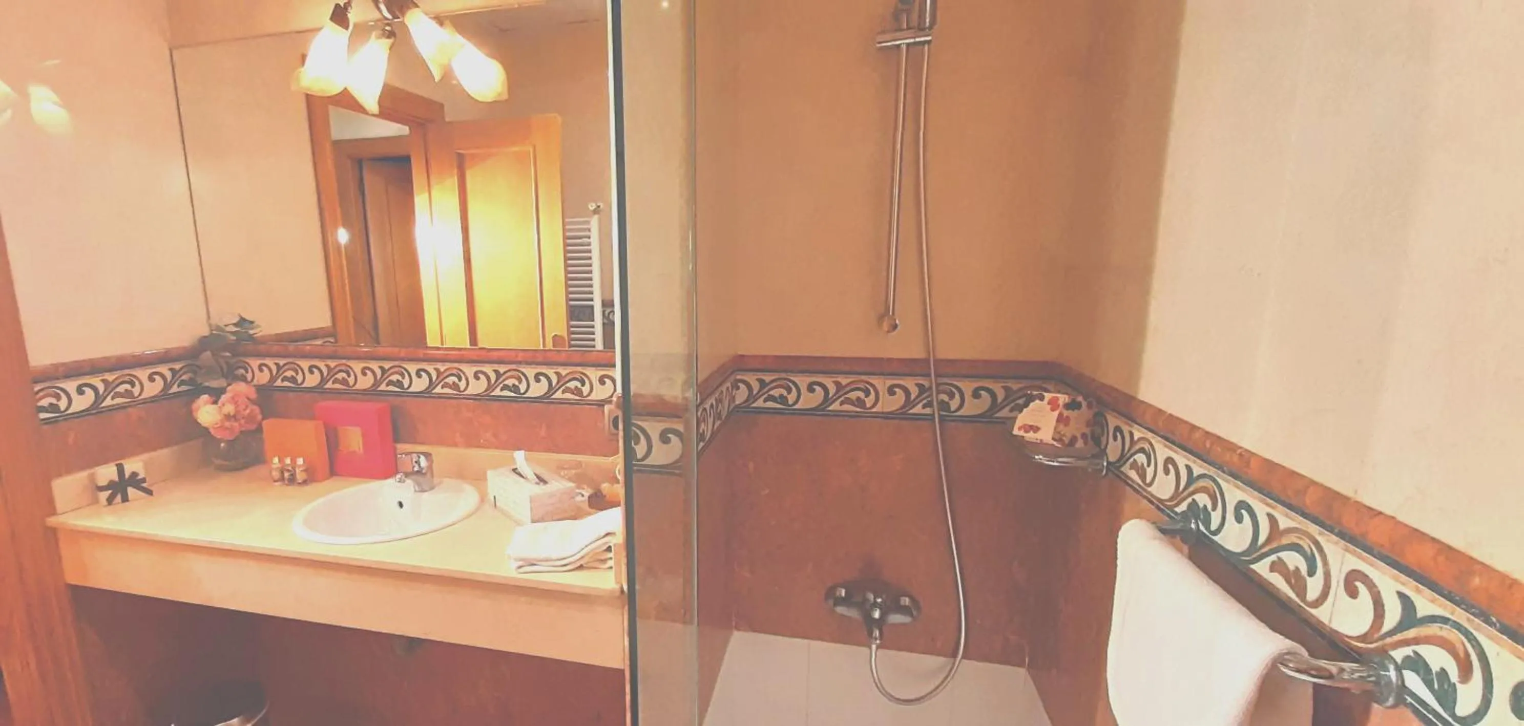 Bathroom in Hotel Nueva Plaza