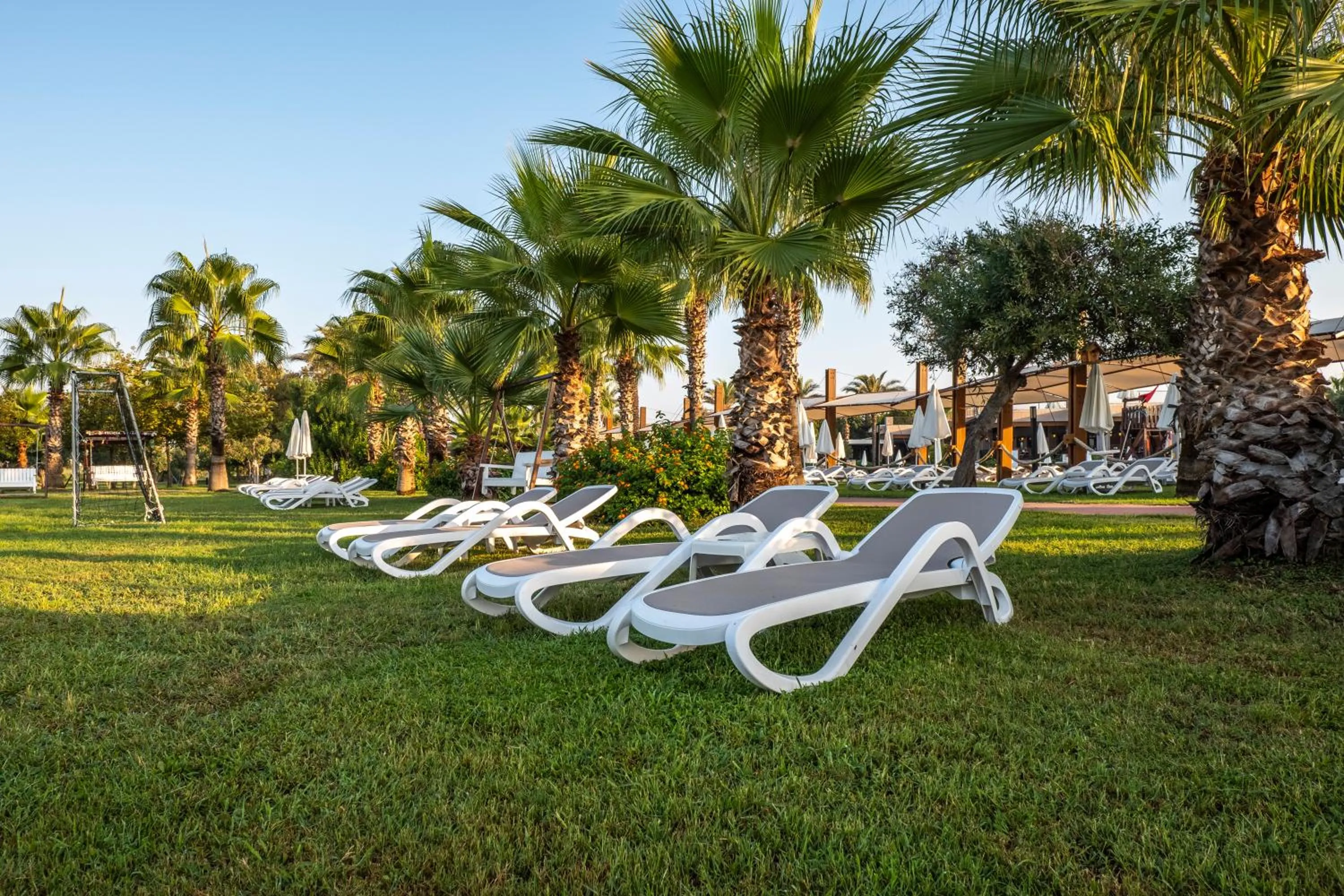 Garden in Club Hotel Felicia Village