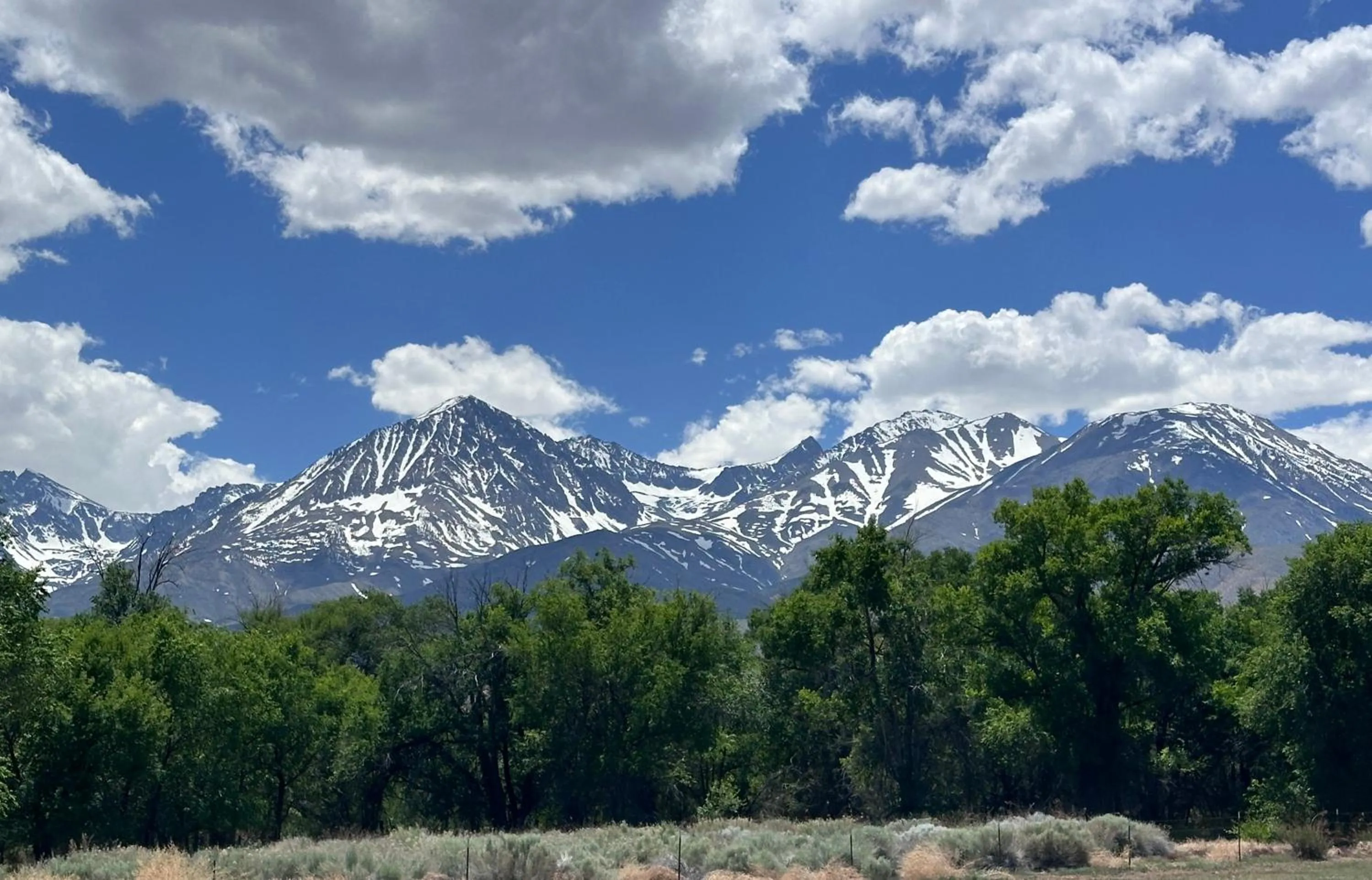 Natural landscape in Starlight Motel