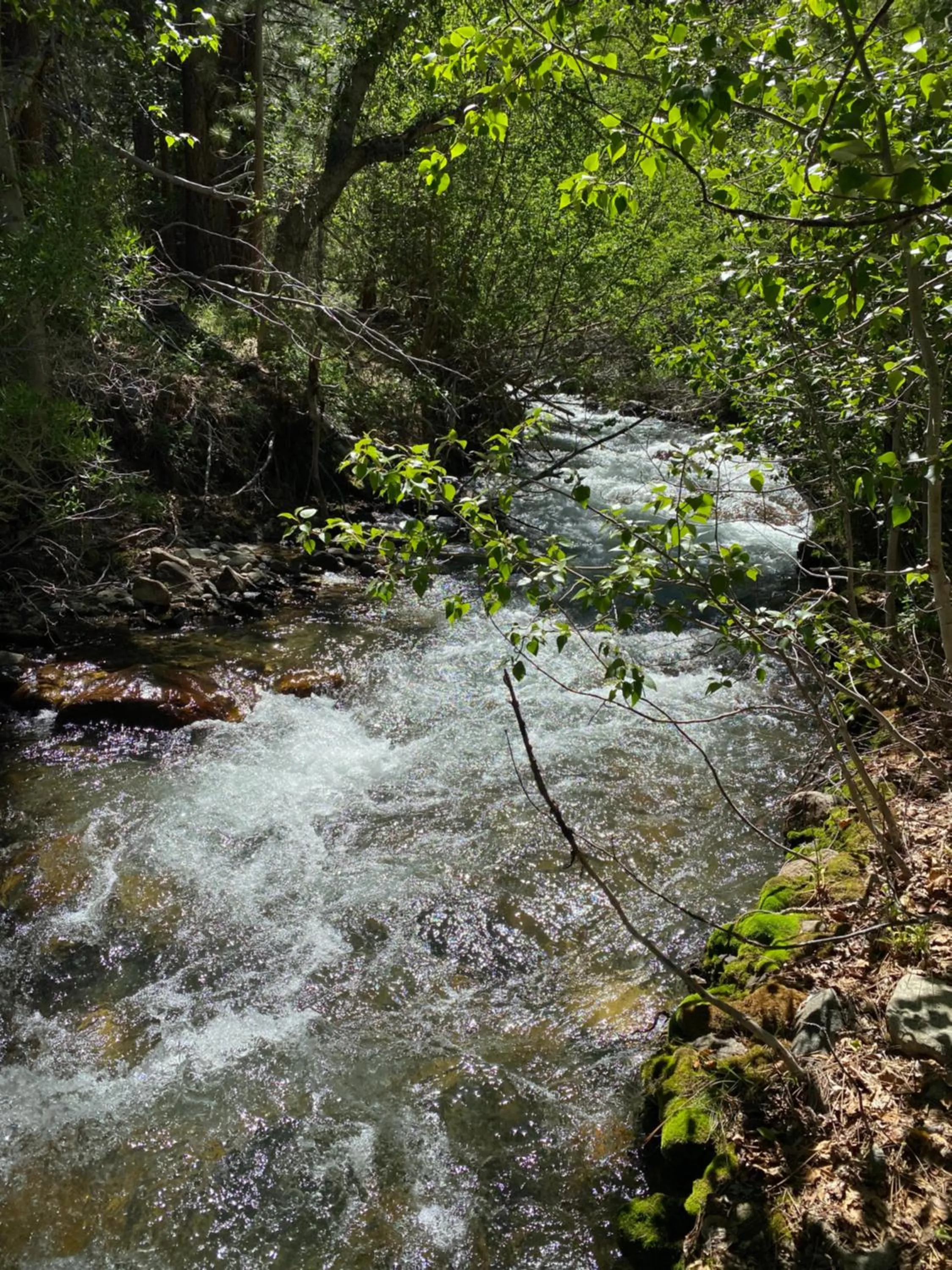 Off site in Starlight Motel