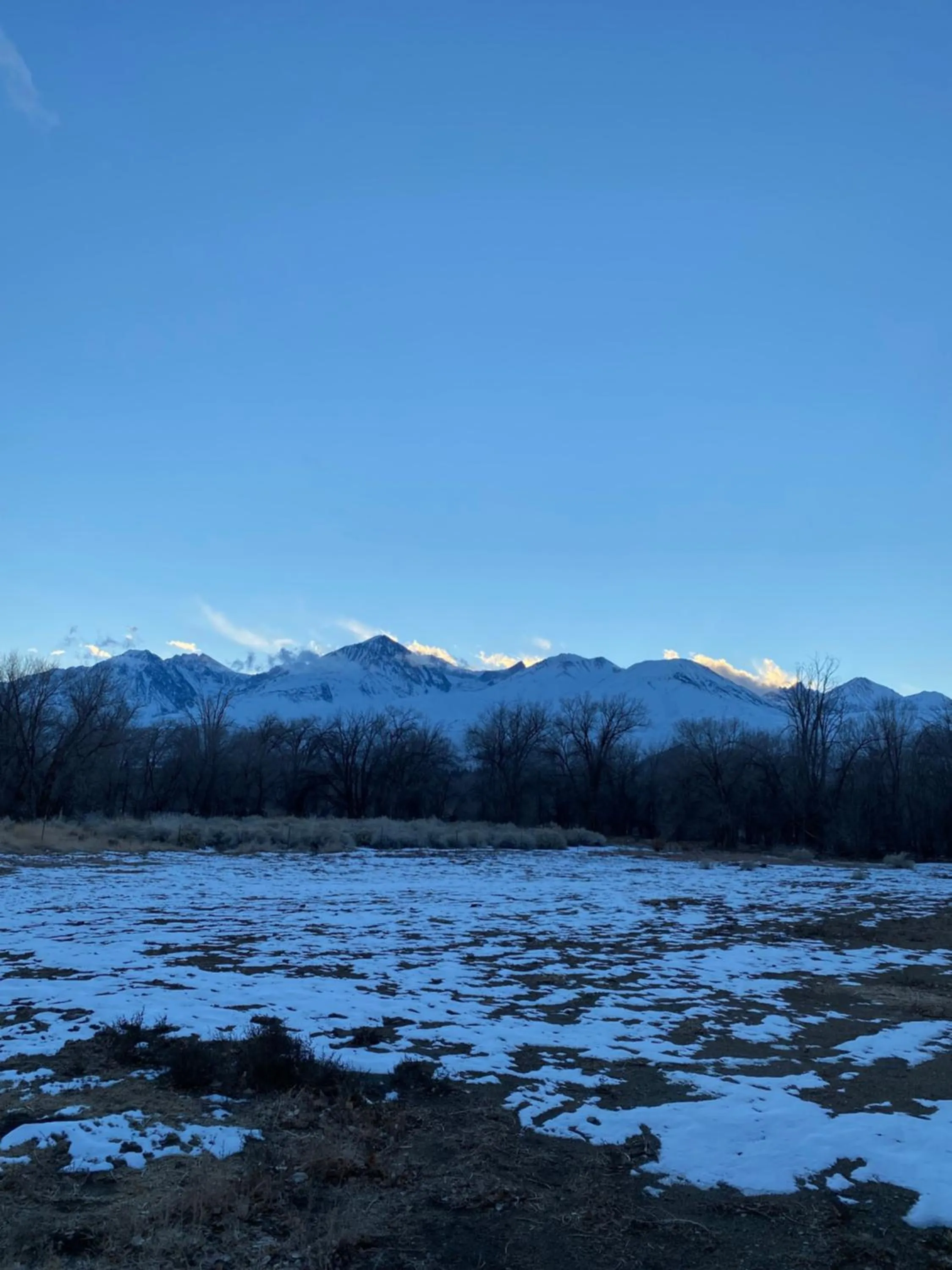 Off site in Starlight Motel