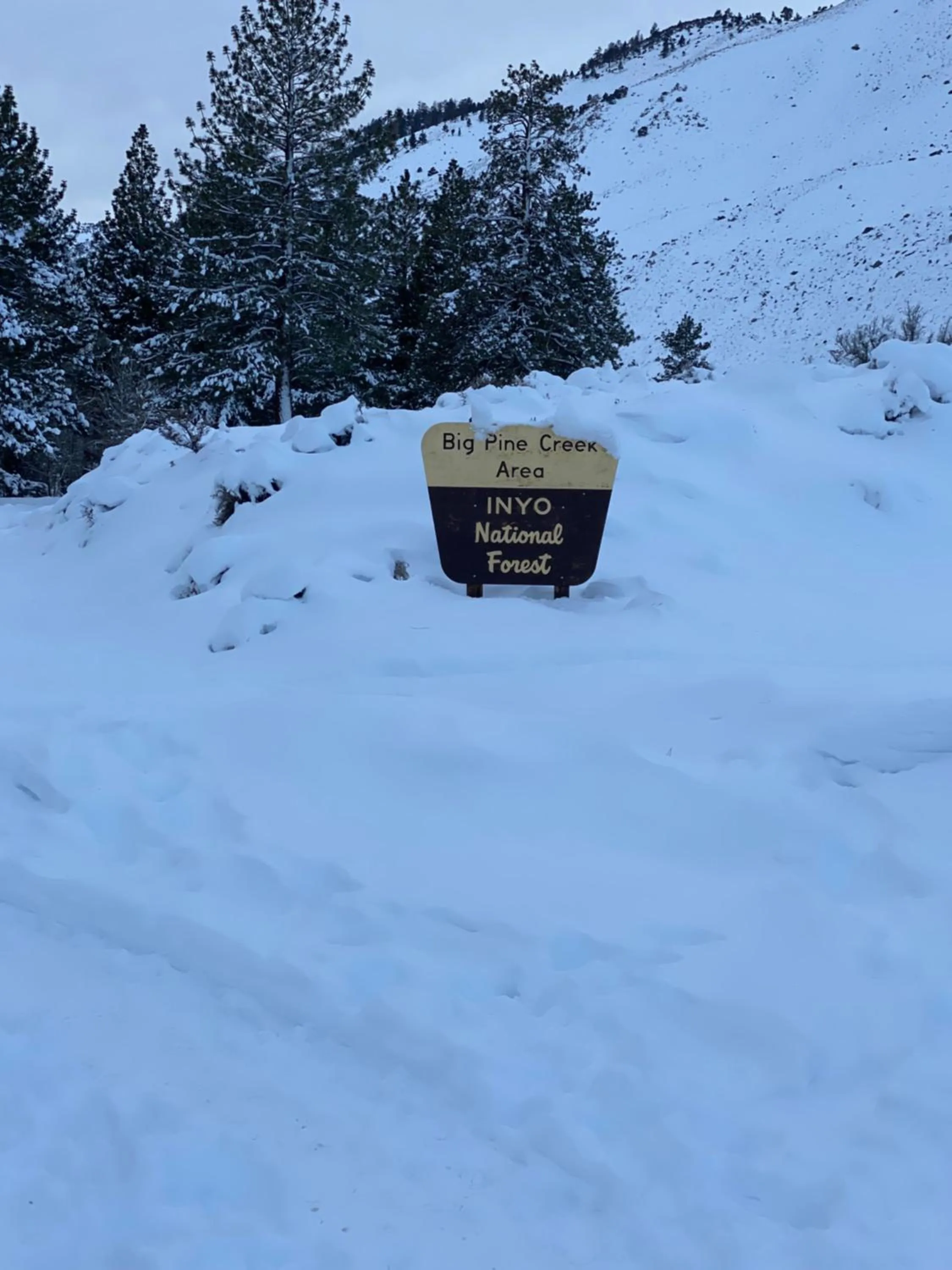 Off site in Starlight Motel