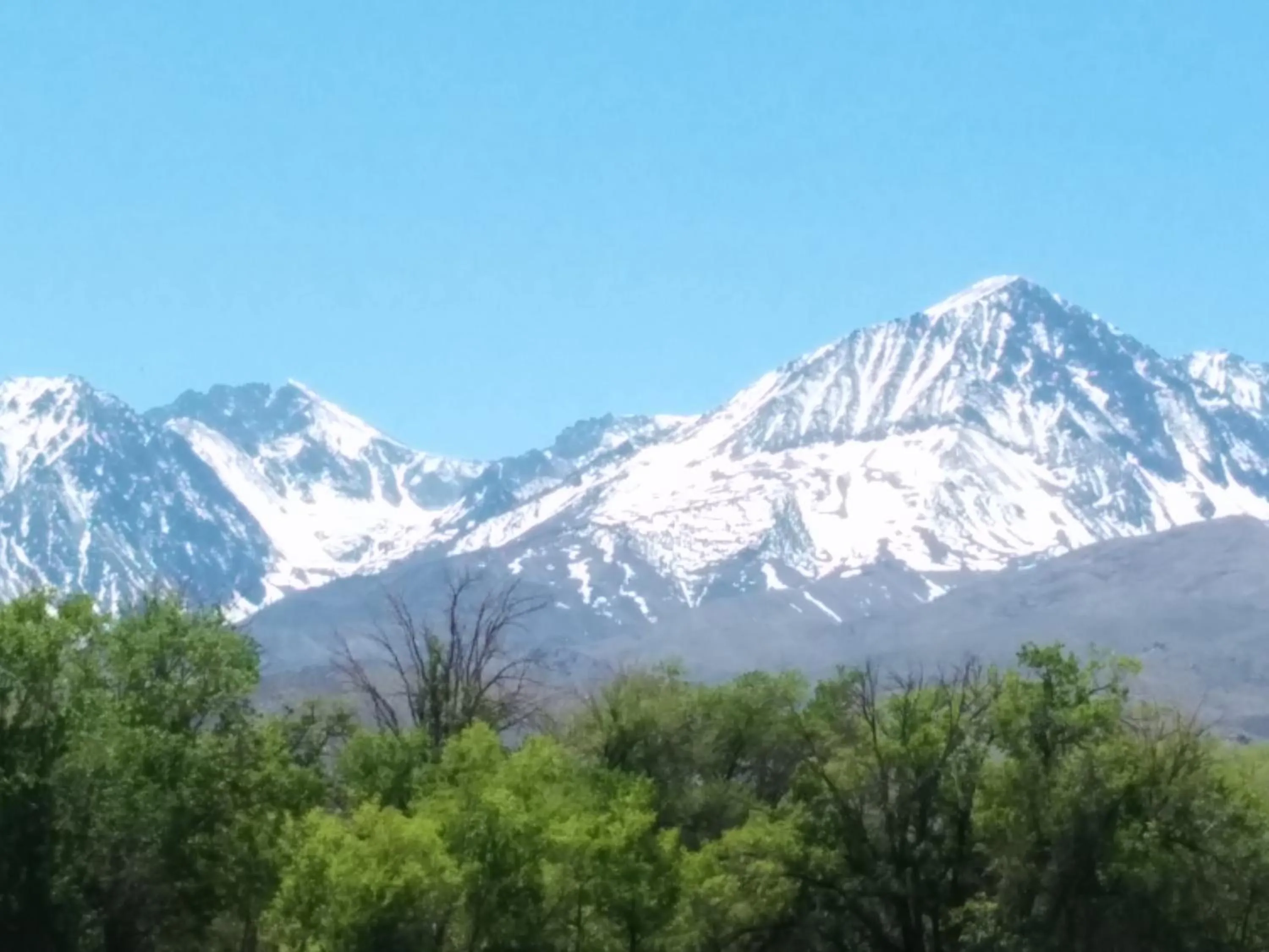 Spring in Starlight Motel