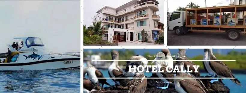 Bird's eye view in Hotel Cally