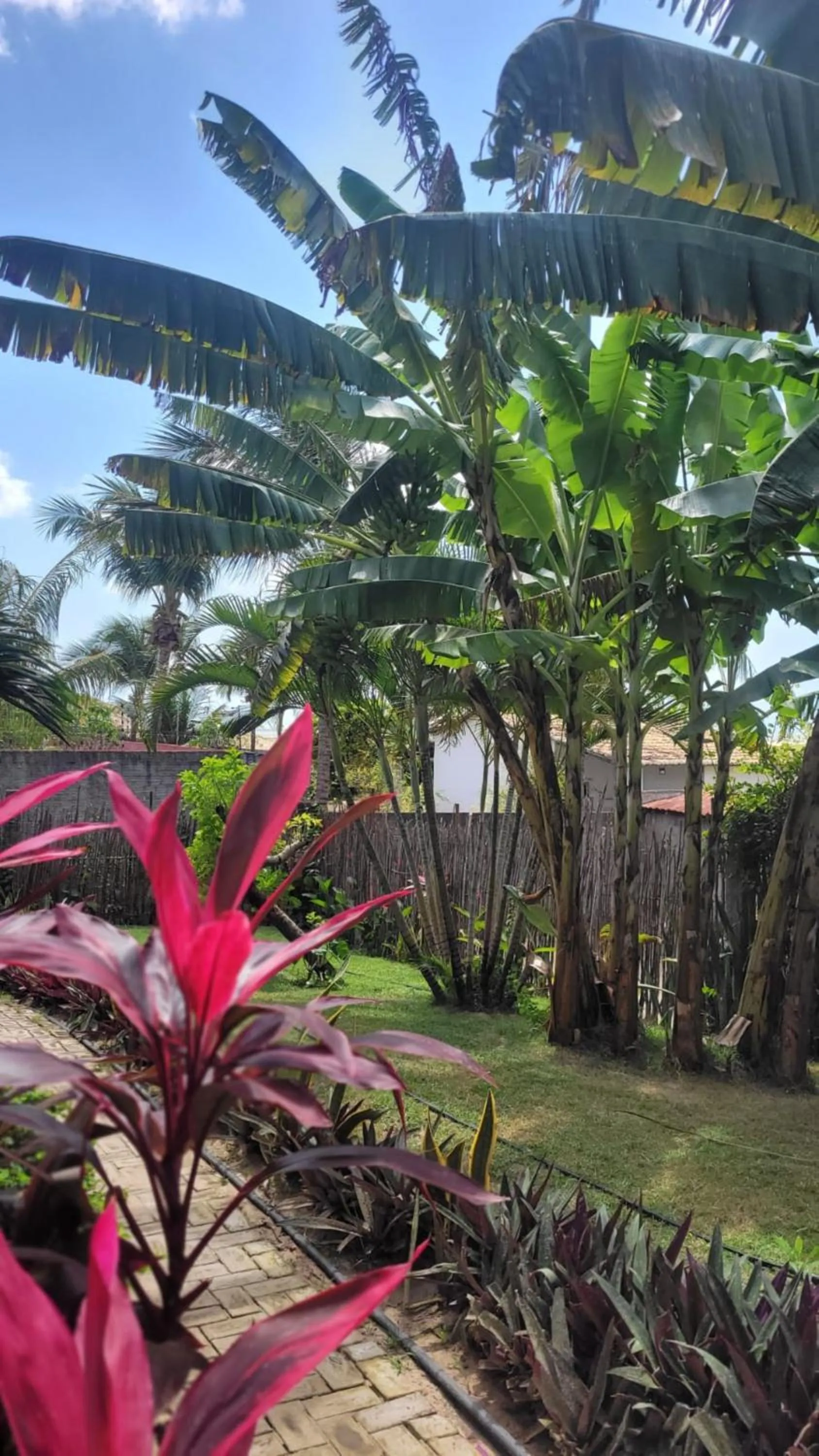 Spring in Pousada Ello