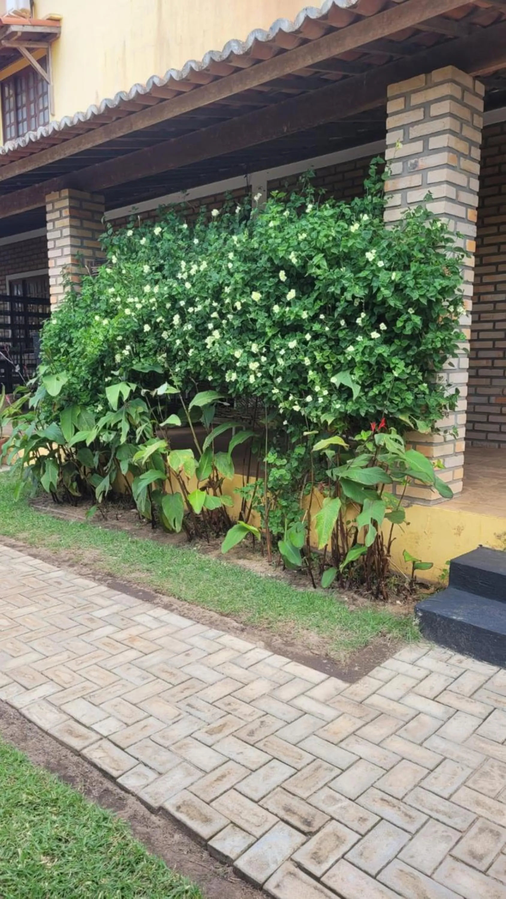 Garden in Pousada Ello