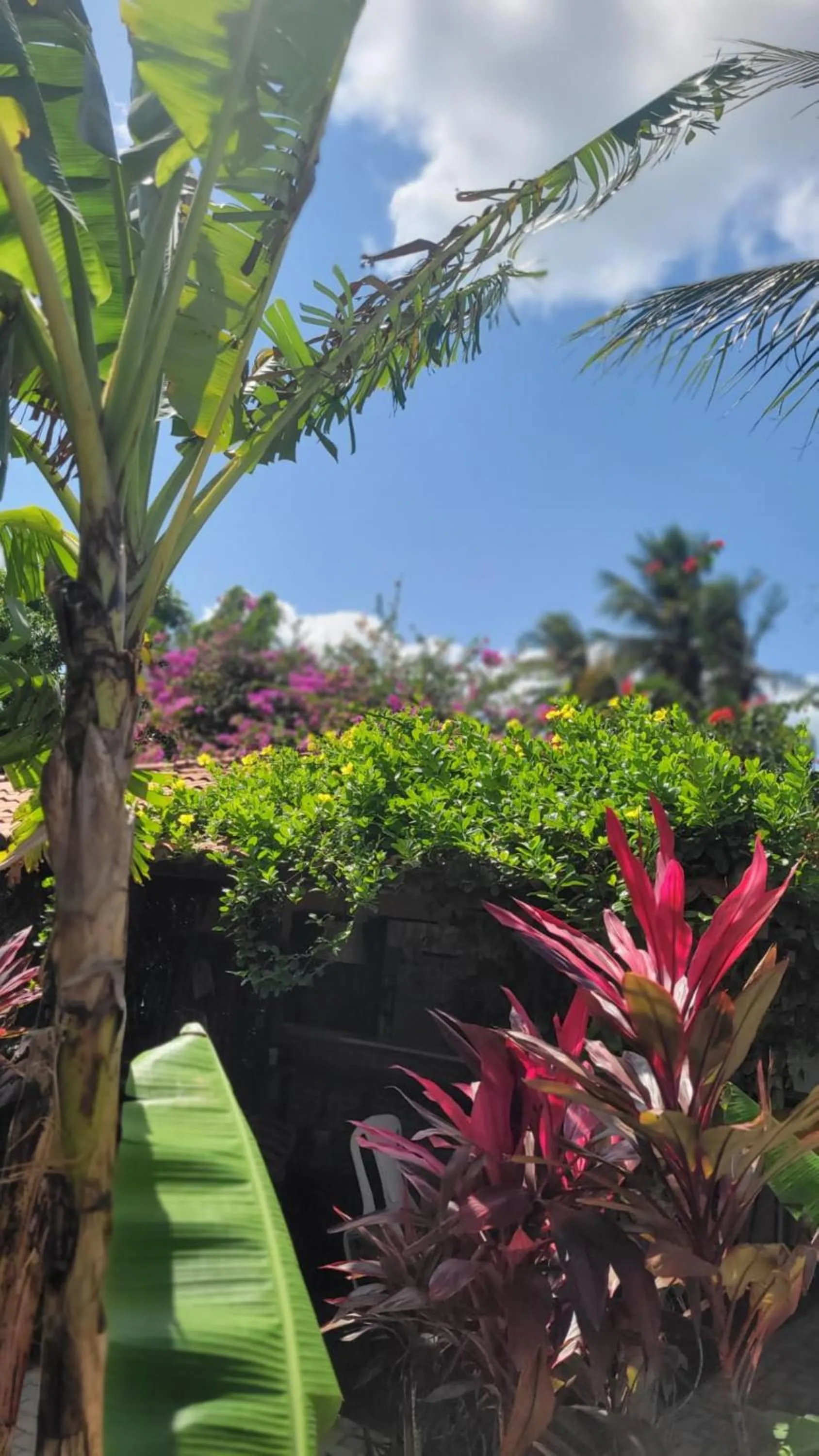 Spring in Pousada Ello