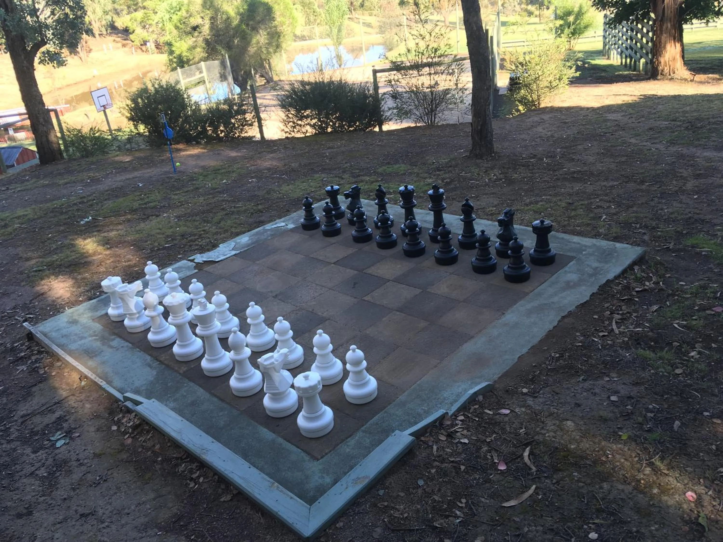 Natural landscape in The Black Sparrow