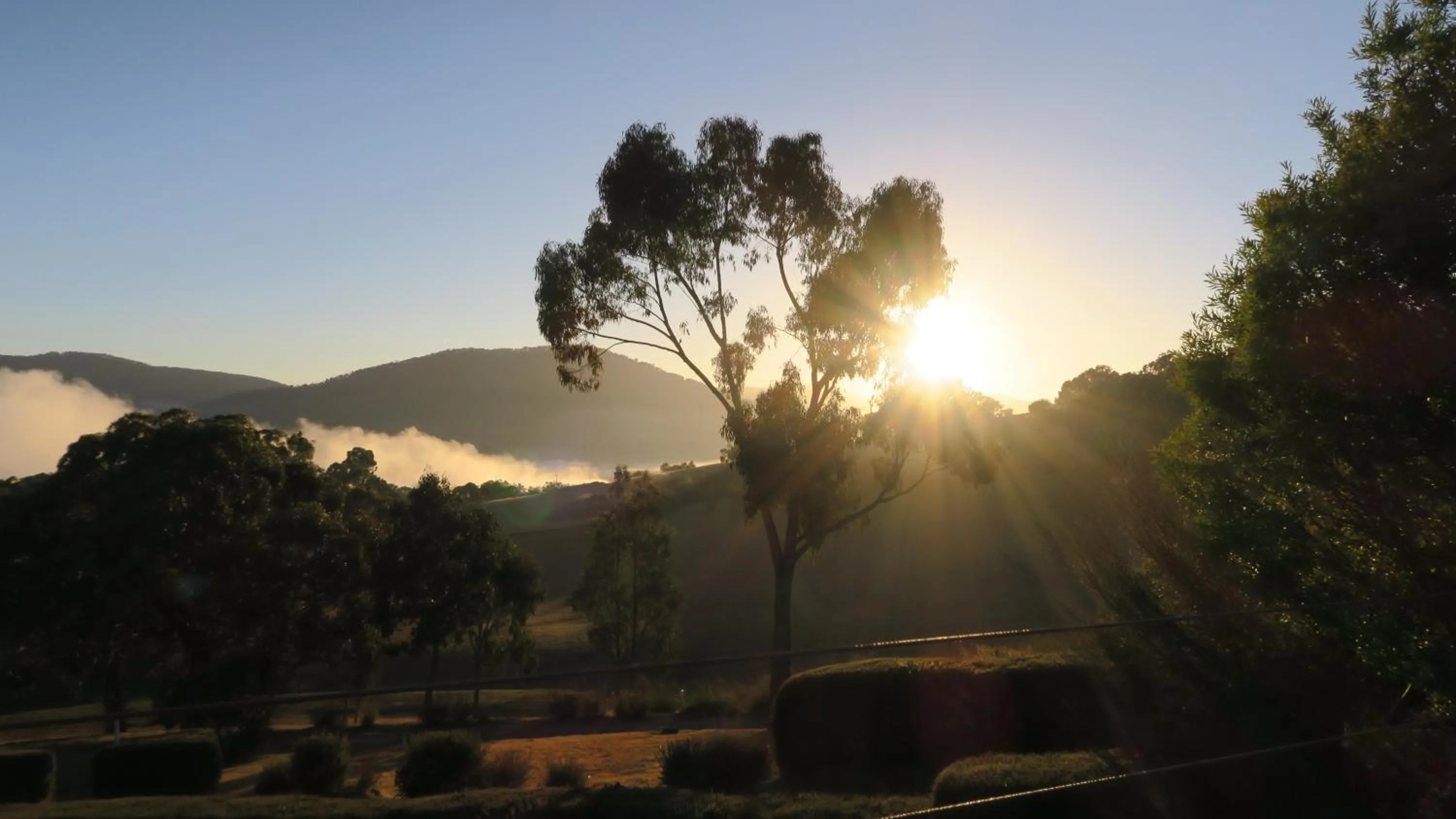 Natural landscape in The Black Sparrow