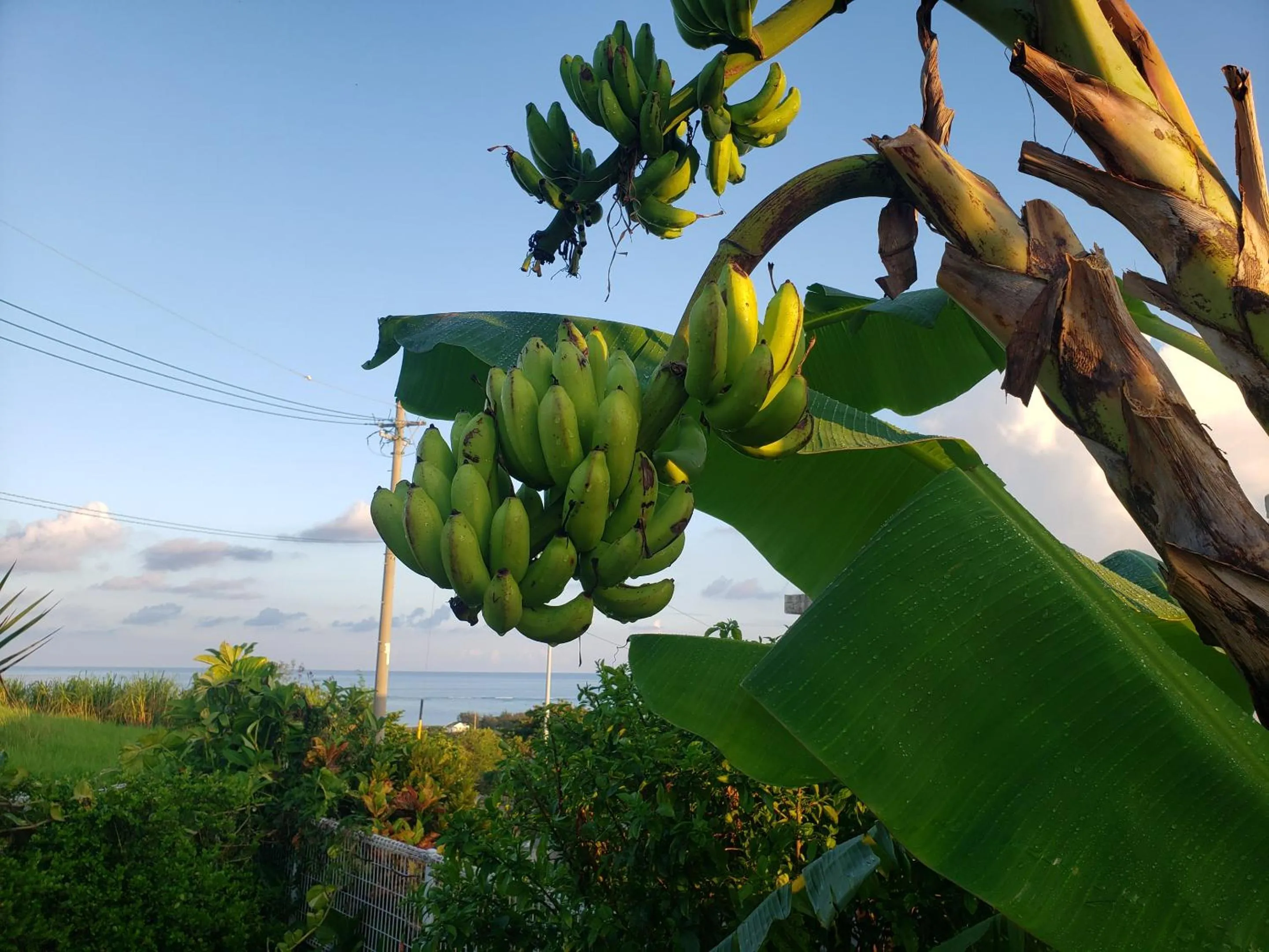 Property building in Hills Villa Miyakojima