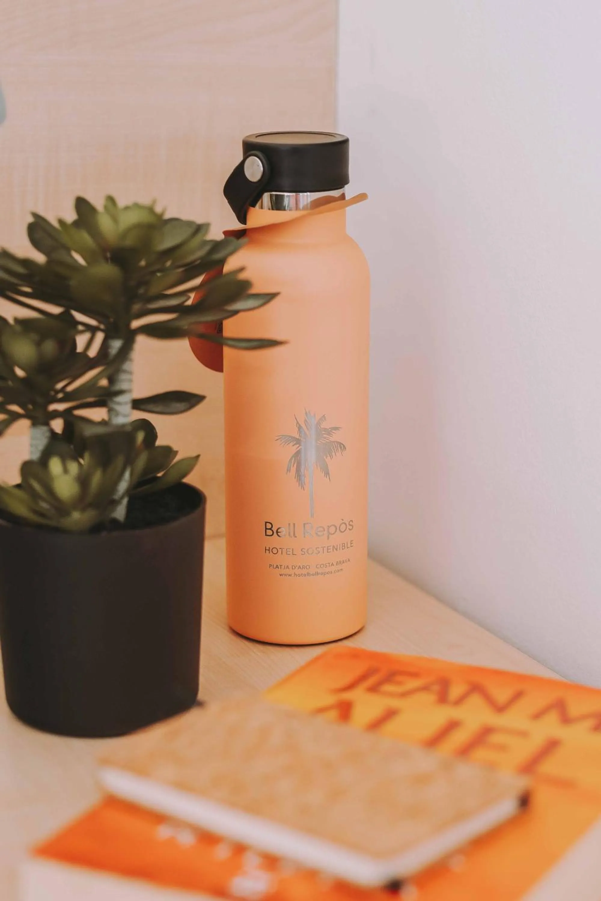 Decorative detail in Hotel Bell Repos