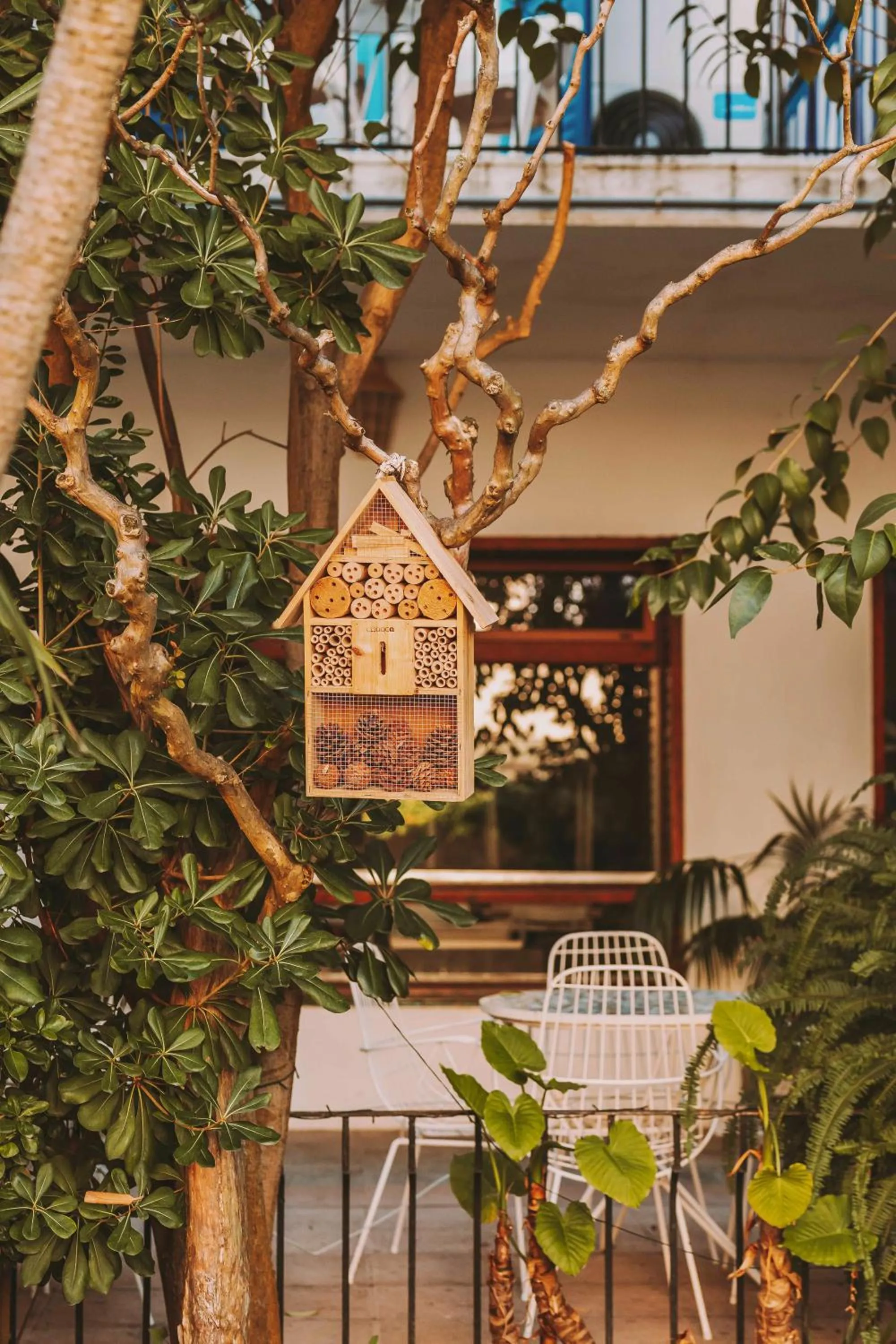 Garden in Hotel Bell Repos