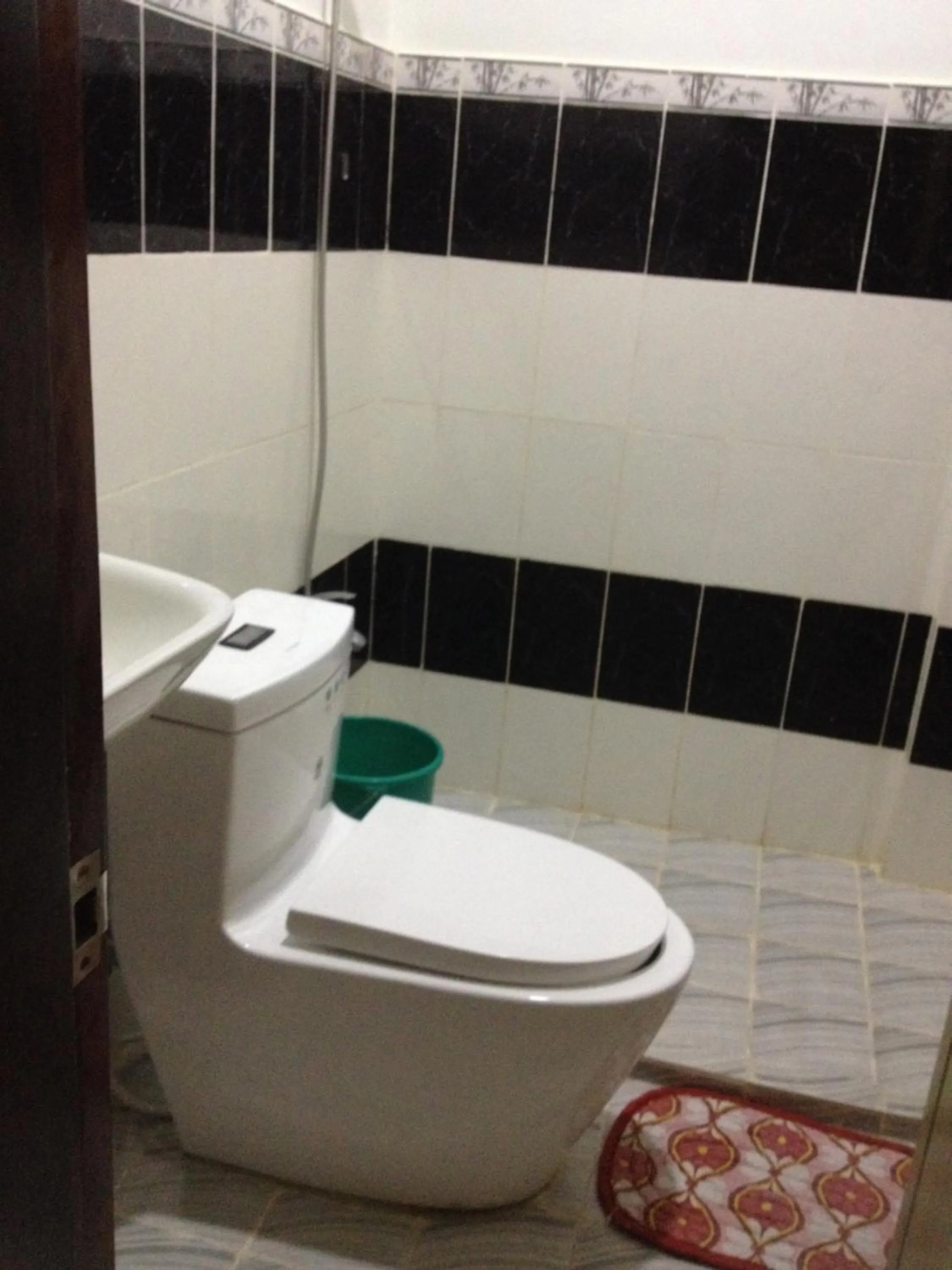 Toilet in Seaslugs Travellers Inn