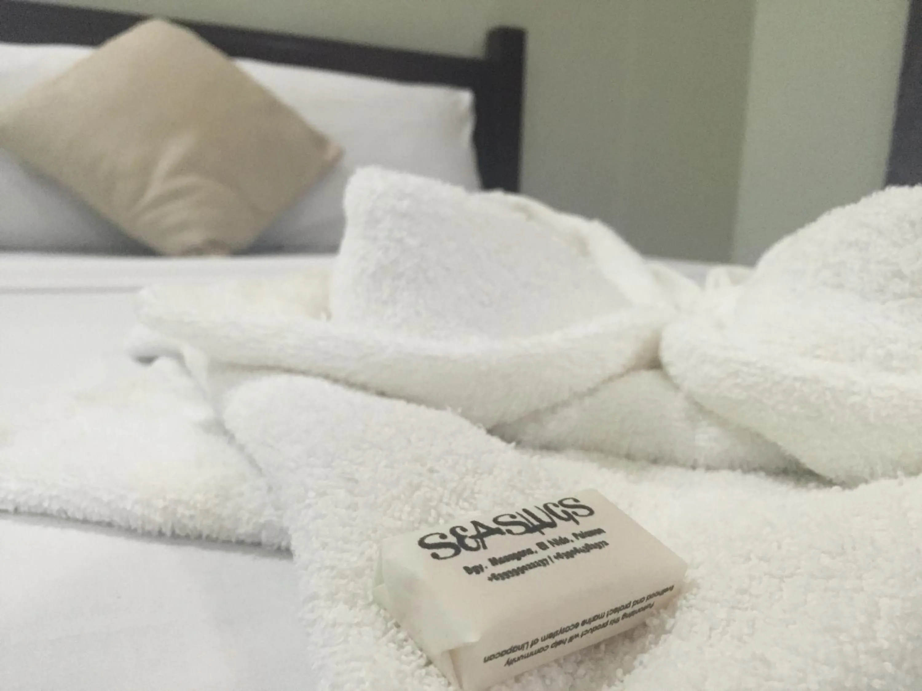 Property building, Bed in Seaslugs Travellers Inn