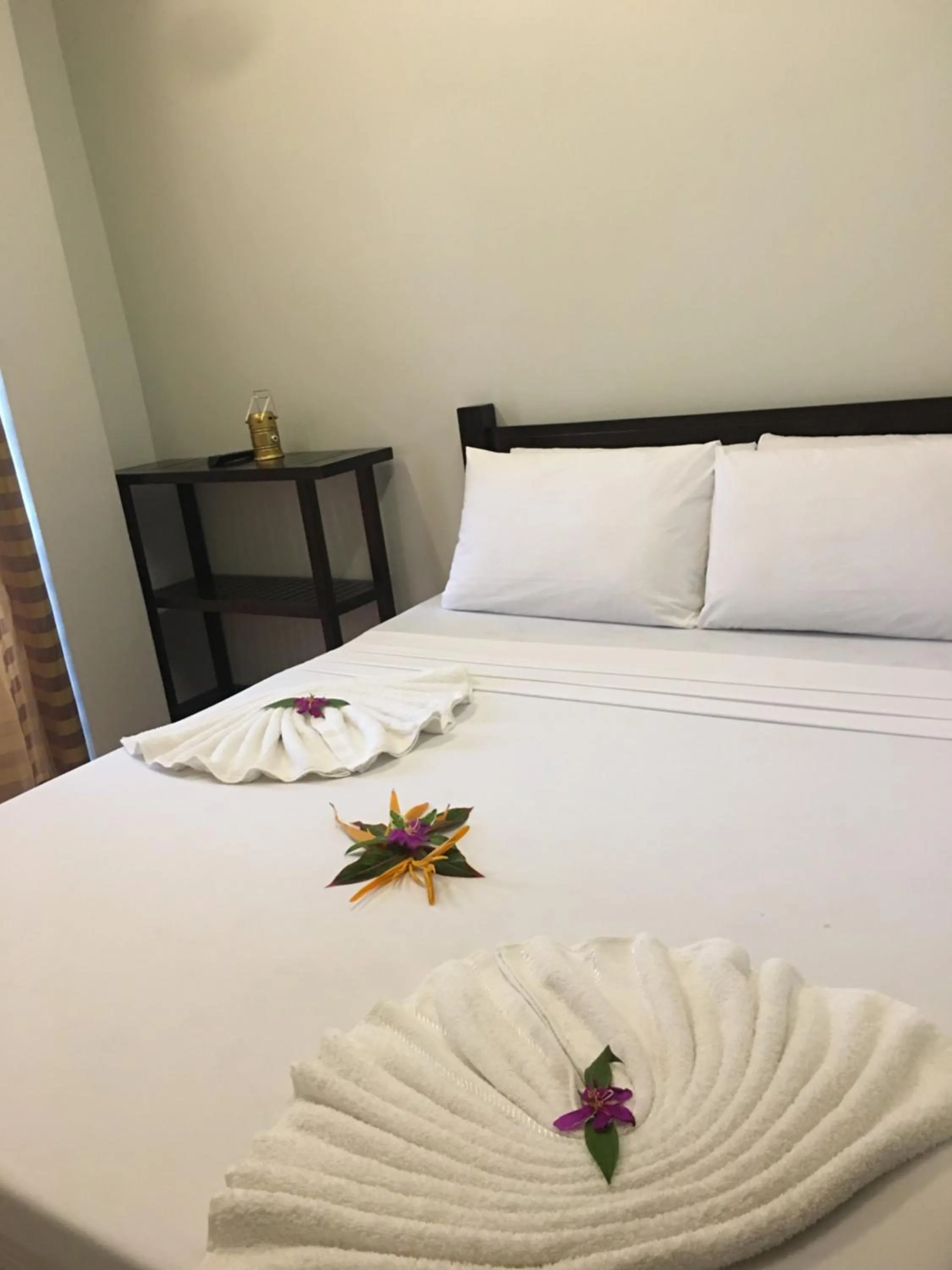 Bed in Seaslugs Travellers Inn