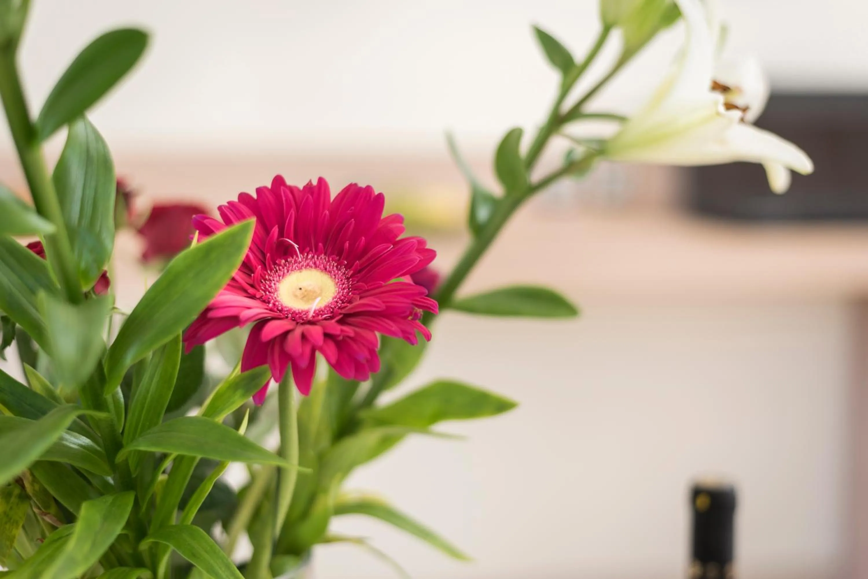 Decorative detail in Sea & City Apartments