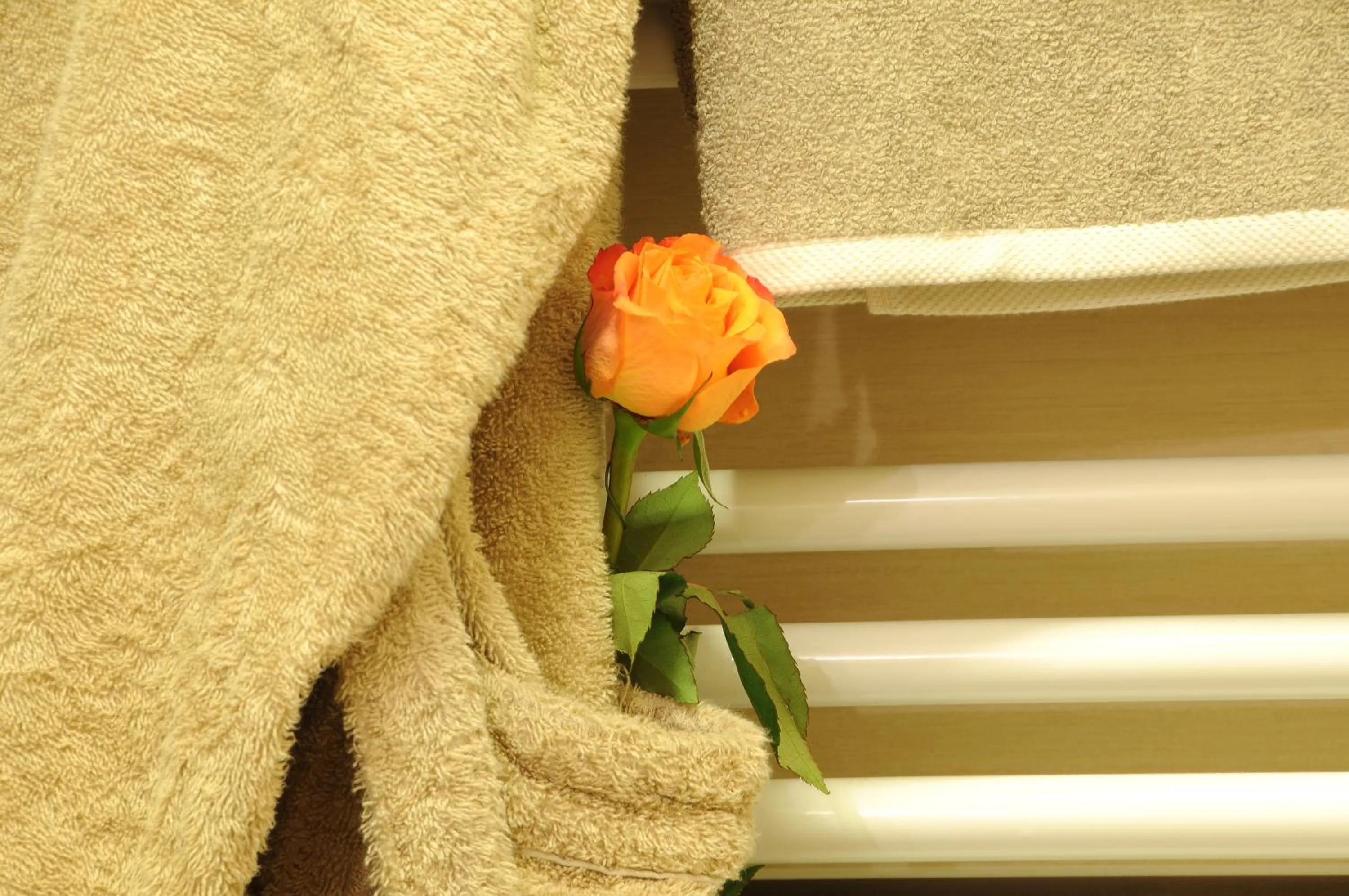 Other in Hotel I Due Cigni