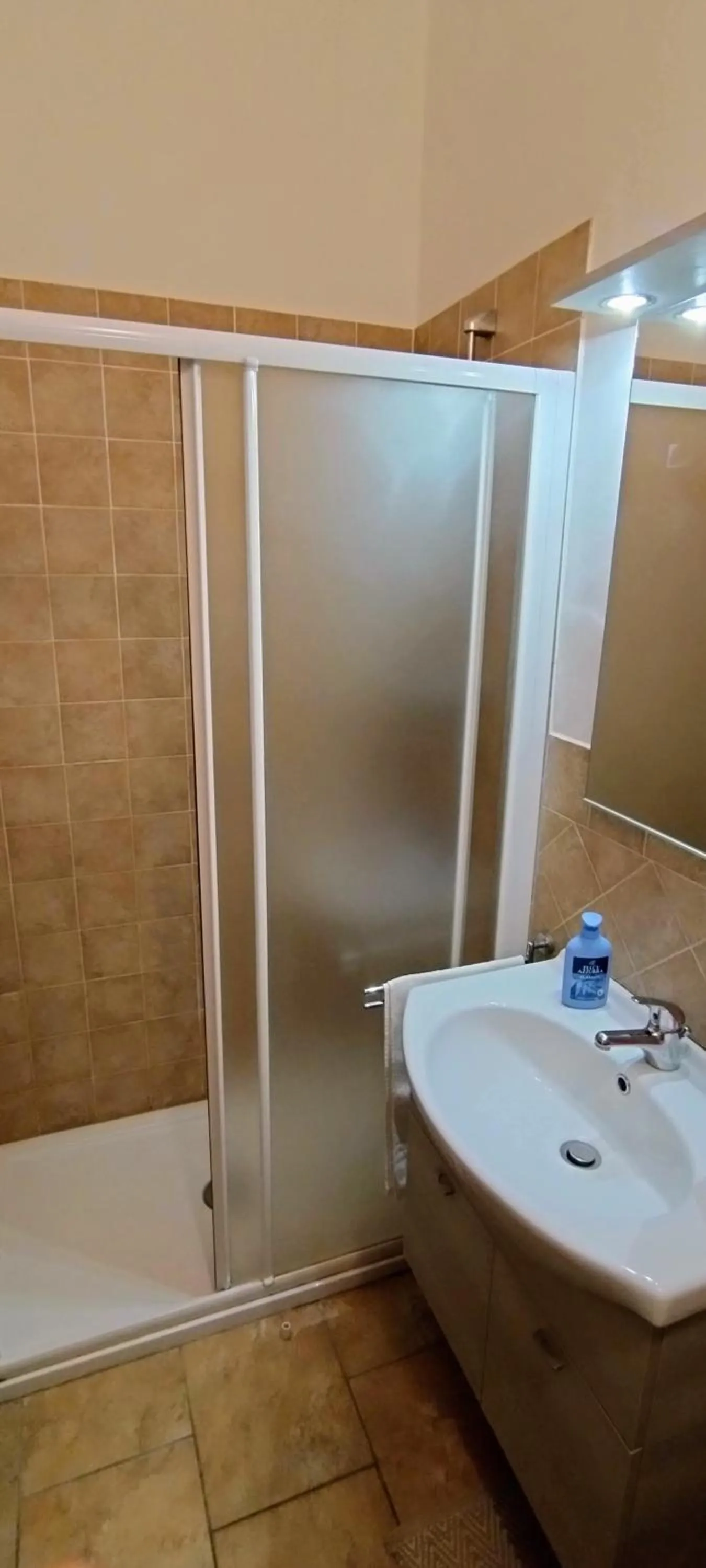 Shower in B&B Vetralla